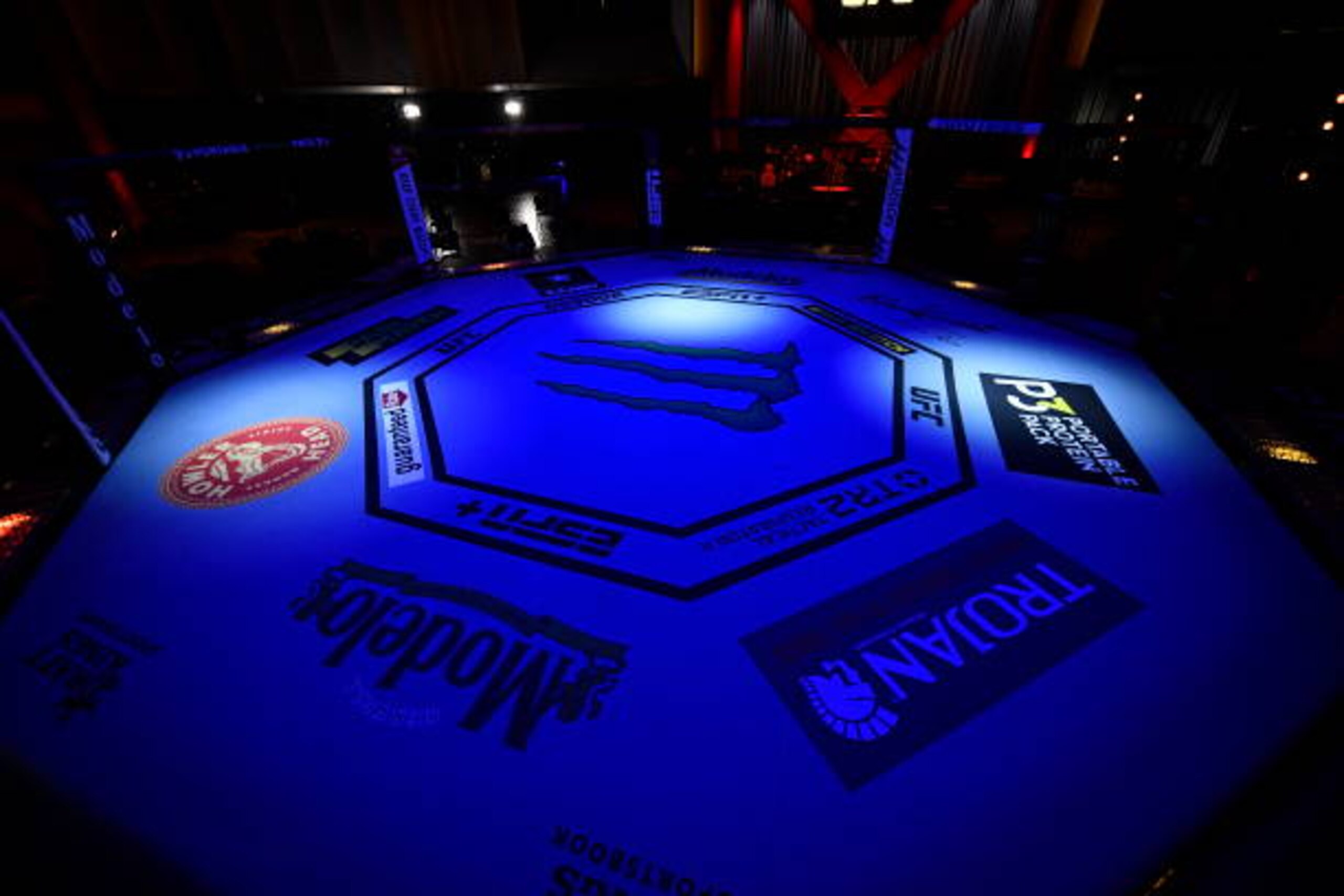 LAS VEGAS, NEVADA - MARCH 06: A general view of the Octagon prior toUFC 259 event at UFC APEX on March 06, 2021 in Las Vegas, Nevada. (Photo by Jeff Bottari/Zuffa LLC)