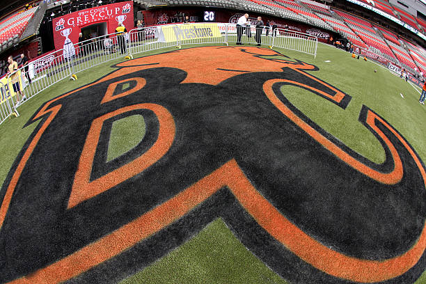 VANCOUVER, CANADA - NOVEMBER 27: The BC Lions' logo is shown on the field before the game against the Winnipeg Blue Bombers before the Grey Cup at BC Place on November 27, 2011 in Vancouver, Canada. (Photo by Derek Leung/Getty Images)