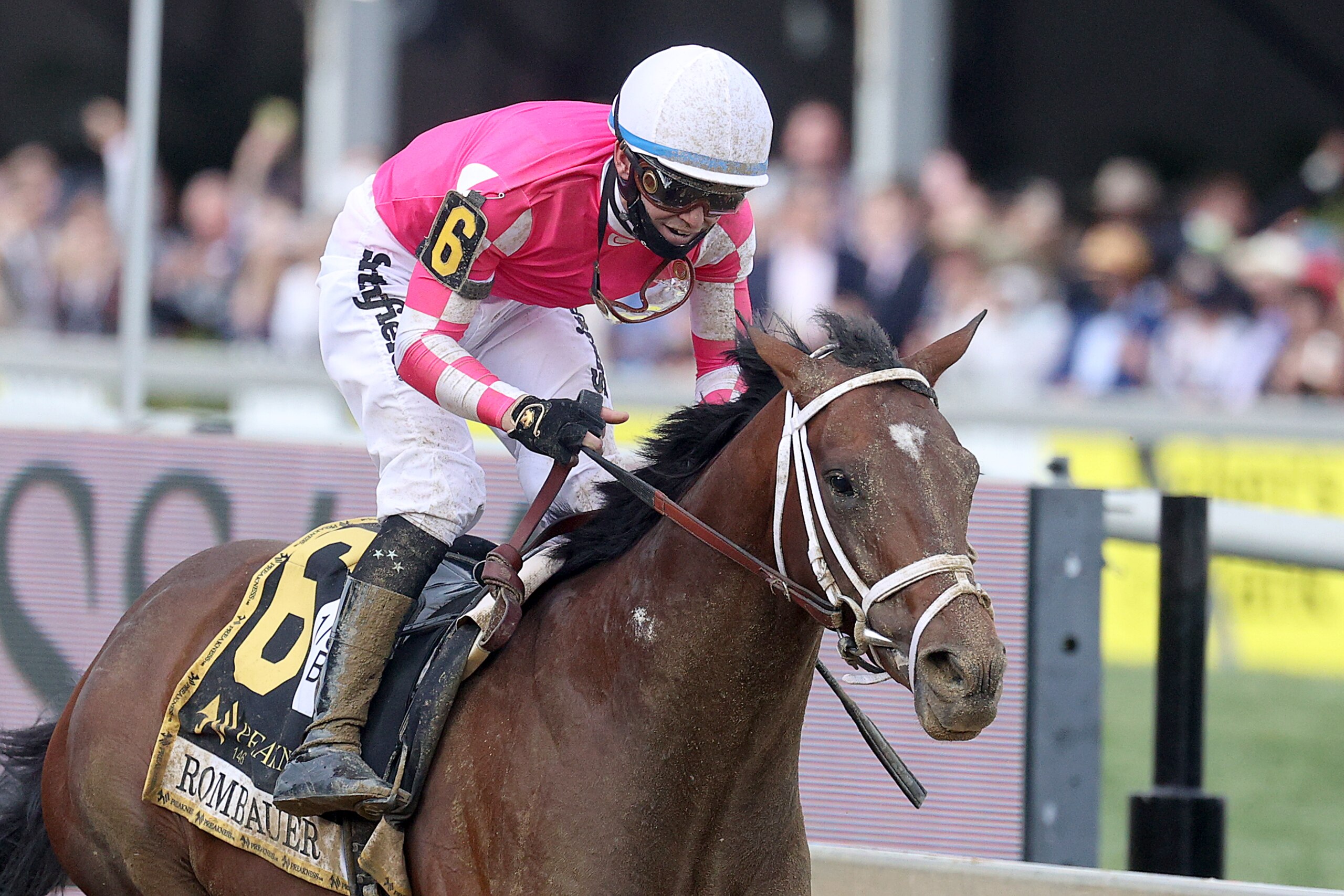 BALTIMORE, MARYLAND - MAY 15: Jockey Flavien Prat #6 riding Rombauer celebrates after winning the 146th Running of the Preakness Stakes at Pimlico Race Course on May 15, 2021 in Baltimore, Maryland. (Photo by Rob Carr/Getty Images) BALTIMORE, MARYLAND - MAY 15: Jockey Flavien Prat #6 riding Rombauer celebrates after winning the 146th Running of the Preakness Stakes at Pimlico Race Course on May 15, 2021 in Baltimore, Maryland. (Photo by Rob Carr/Getty Images)