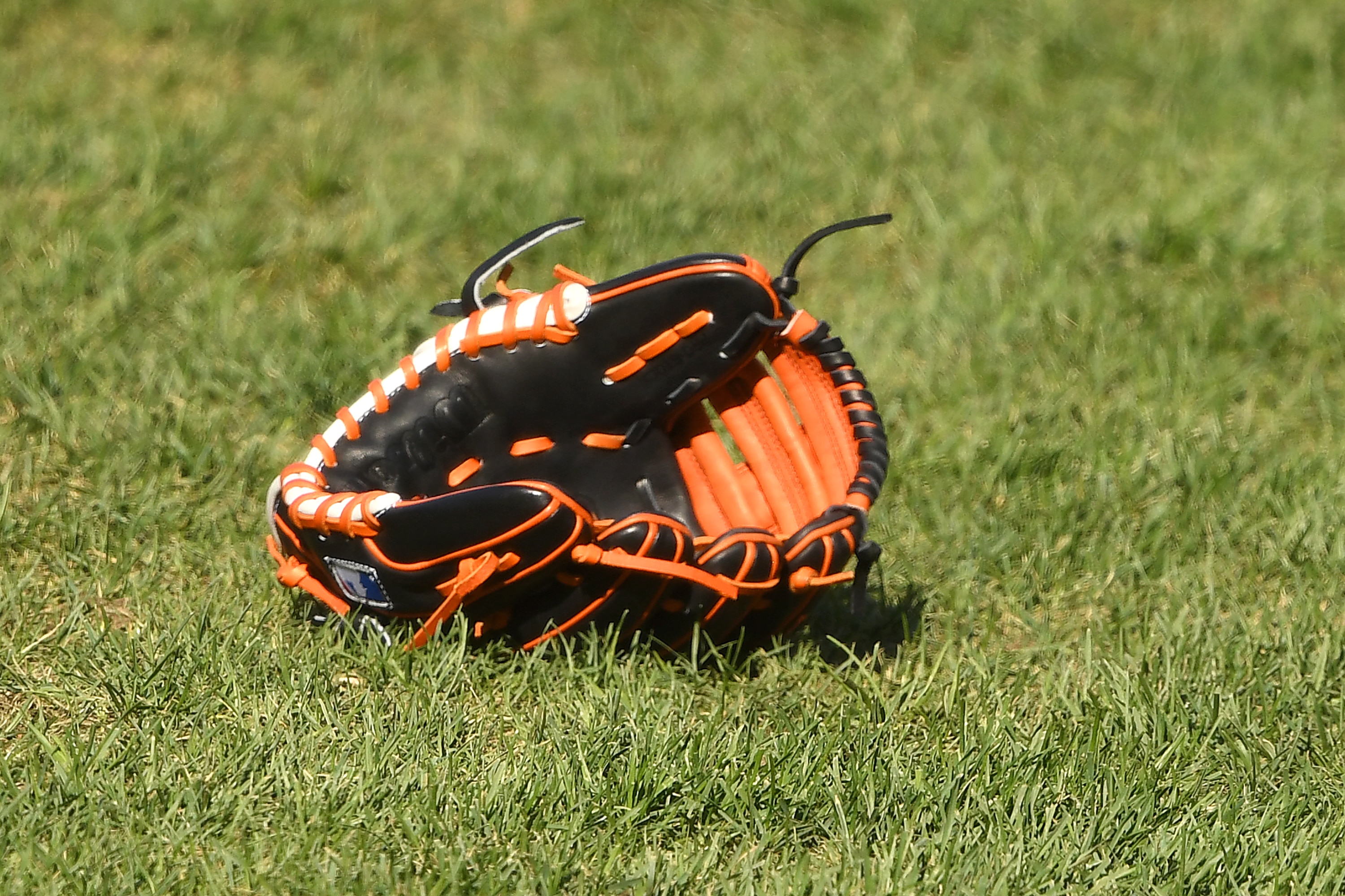 BALTIMORE, MD - AUGUST 18:  A glove on the field before a baseball game between the Toronto Blue Jays and the Baltimore Orioles at Oriole Park at Camden Yards on August 18, 2020 in Baltimore, Maryland.  (Photo by Mitchell Layton/Getty Images)