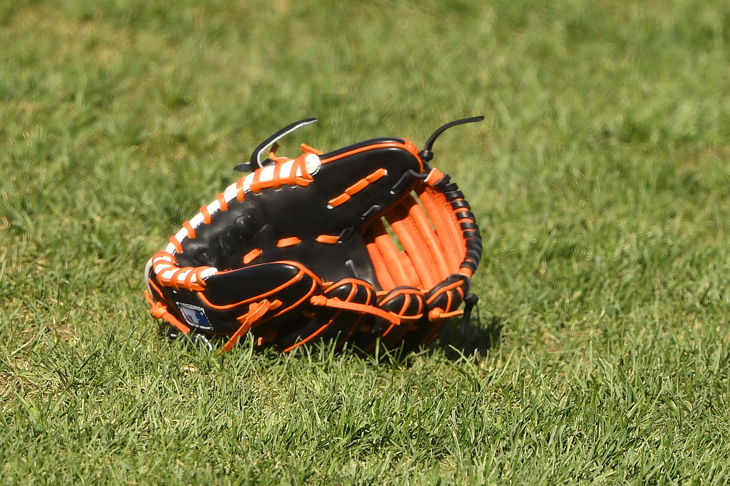 BALTIMORE, MD - AUGUST 18:  A glove on the field before a baseball game between the Toronto Blue Jays and the Baltimore Orioles at Oriole Park at Camden Yards on August 18, 2020 in Baltimore, Maryland.  (Photo by Mitchell Layton/Getty Images)