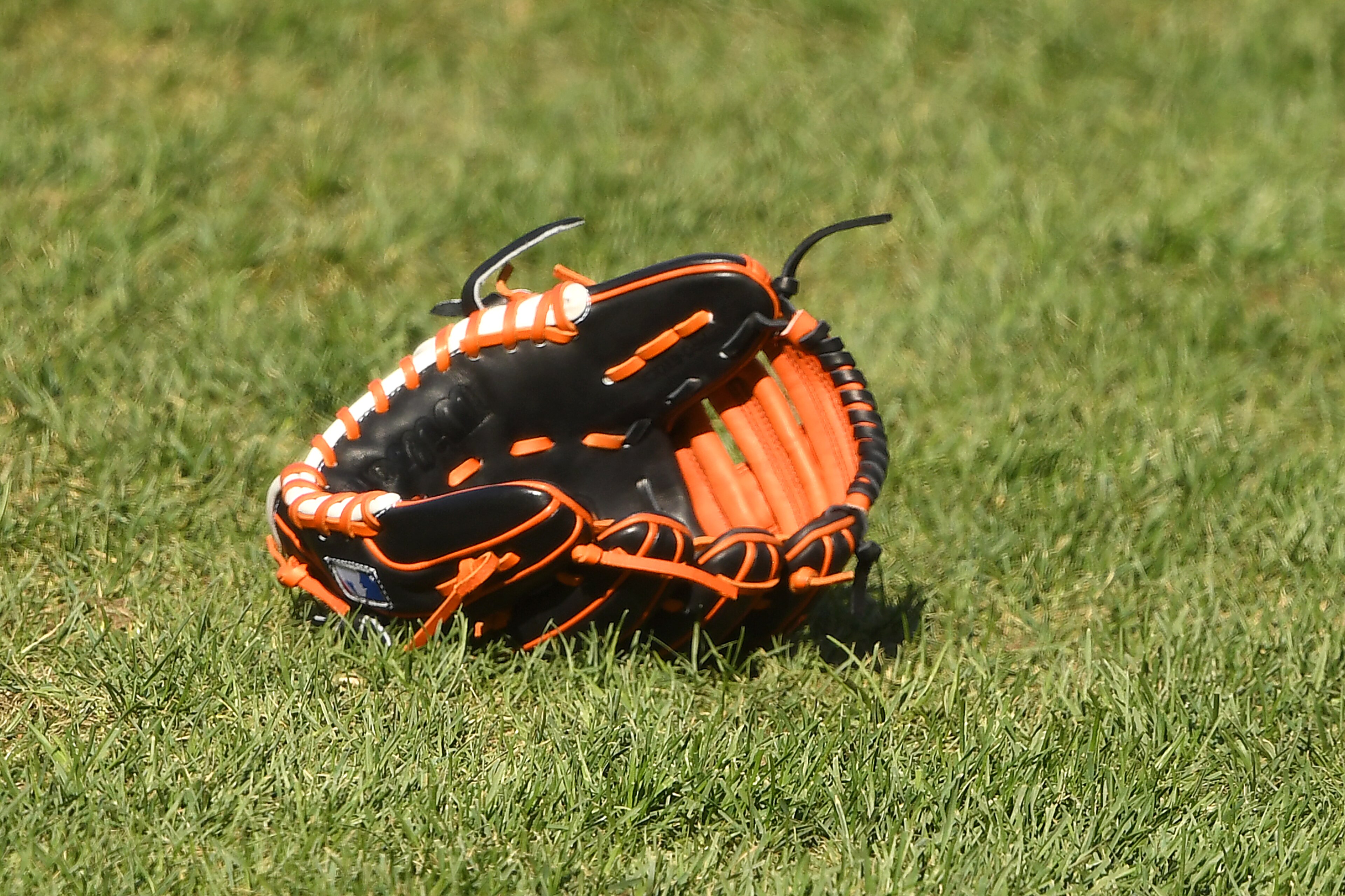 BALTIMORE, MD - AUGUST 18:  A glove on the field before a baseball game between the Toronto Blue Jays and the Baltimore Orioles at Oriole Park at Camden Yards on August 18, 2020 in Baltimore, Maryland.  (Photo by Mitchell Layton/Getty Images)