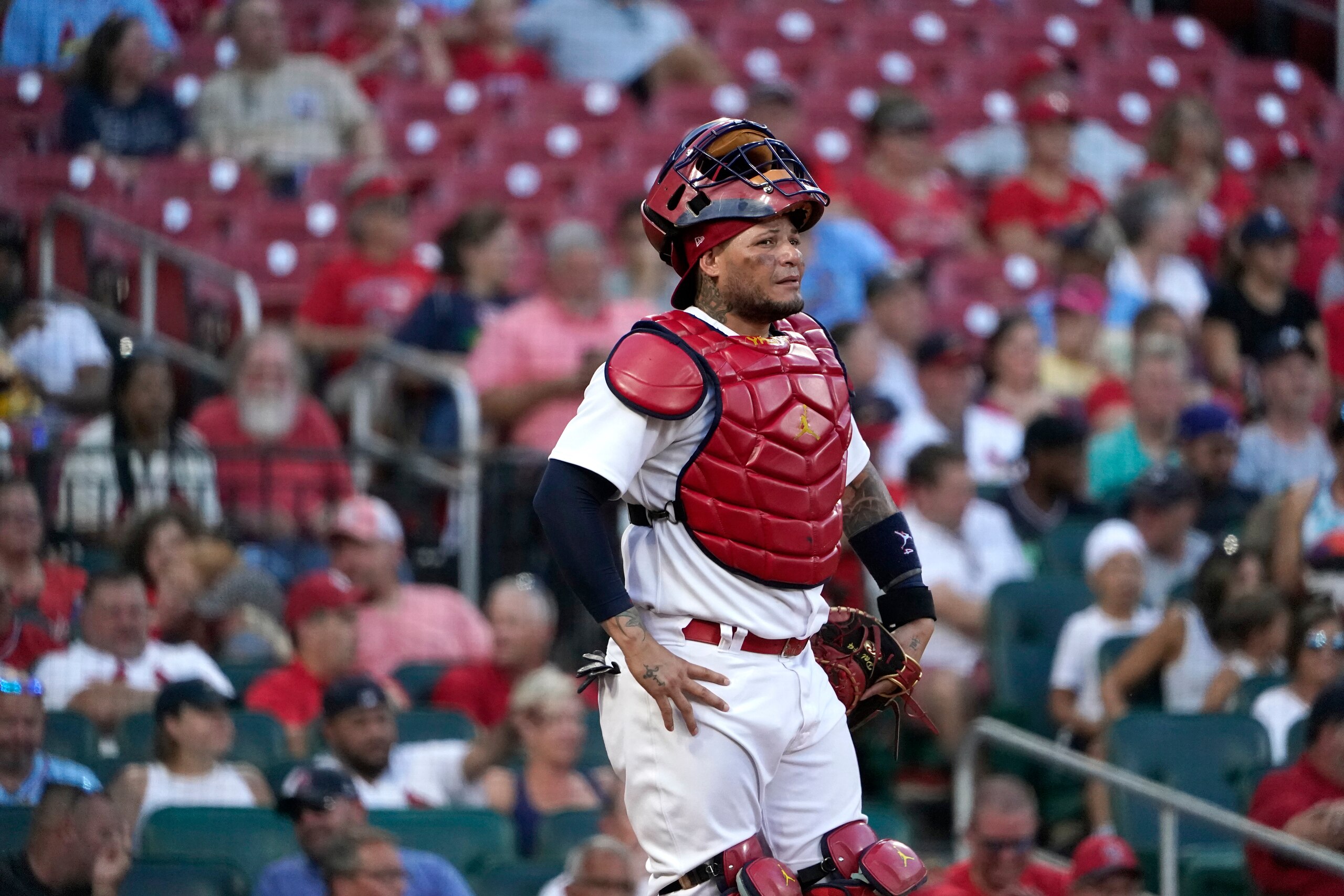 St. Louis Cardinals catcher Yadier Molina stands behind the plate during the second inning of a baseball game against the Detroit Tigers Tuesday, Aug. 24, 2021, in St. Louis. (AP Photo/Jeff Roberson) St. Louis Cardinals catcher Yadier Molina stands behind the plate during the second inning of a baseball game against the Detroit Tigers Tuesday, Aug. 24, 2021, in St. Louis. (AP Photo/Jeff Roberson)