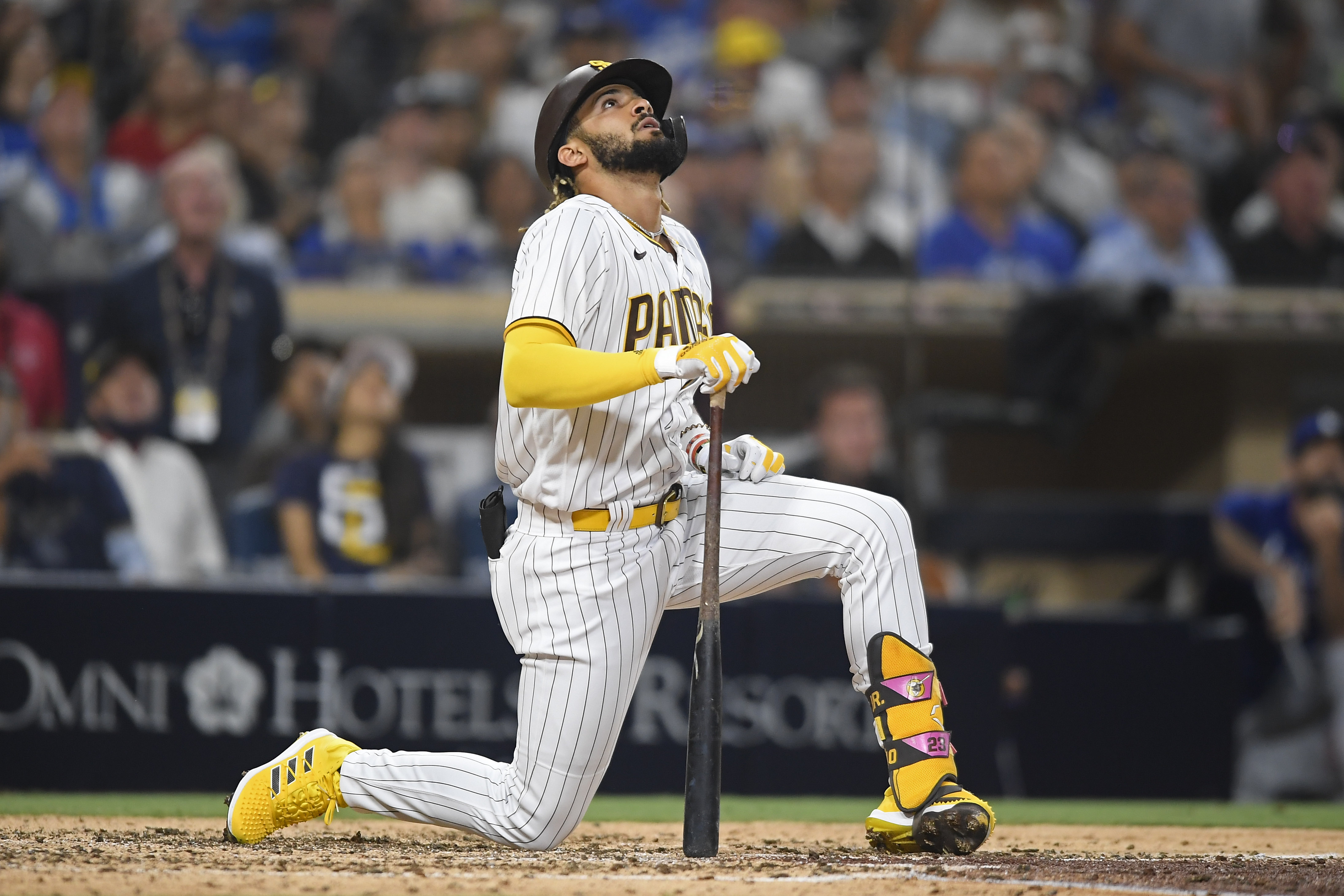 SAN DIEGO, CA - AUGUST 24: Fernando Tatis Jr. #23 of the San Diego Padres looks up after hitting a fly ball during the sixth inning of a baseball game against the Los Angeles Dodgers at Petco Park on August 24, 2021 in San Diego, California.  (Photo by Denis Poroy/Getty Images)
