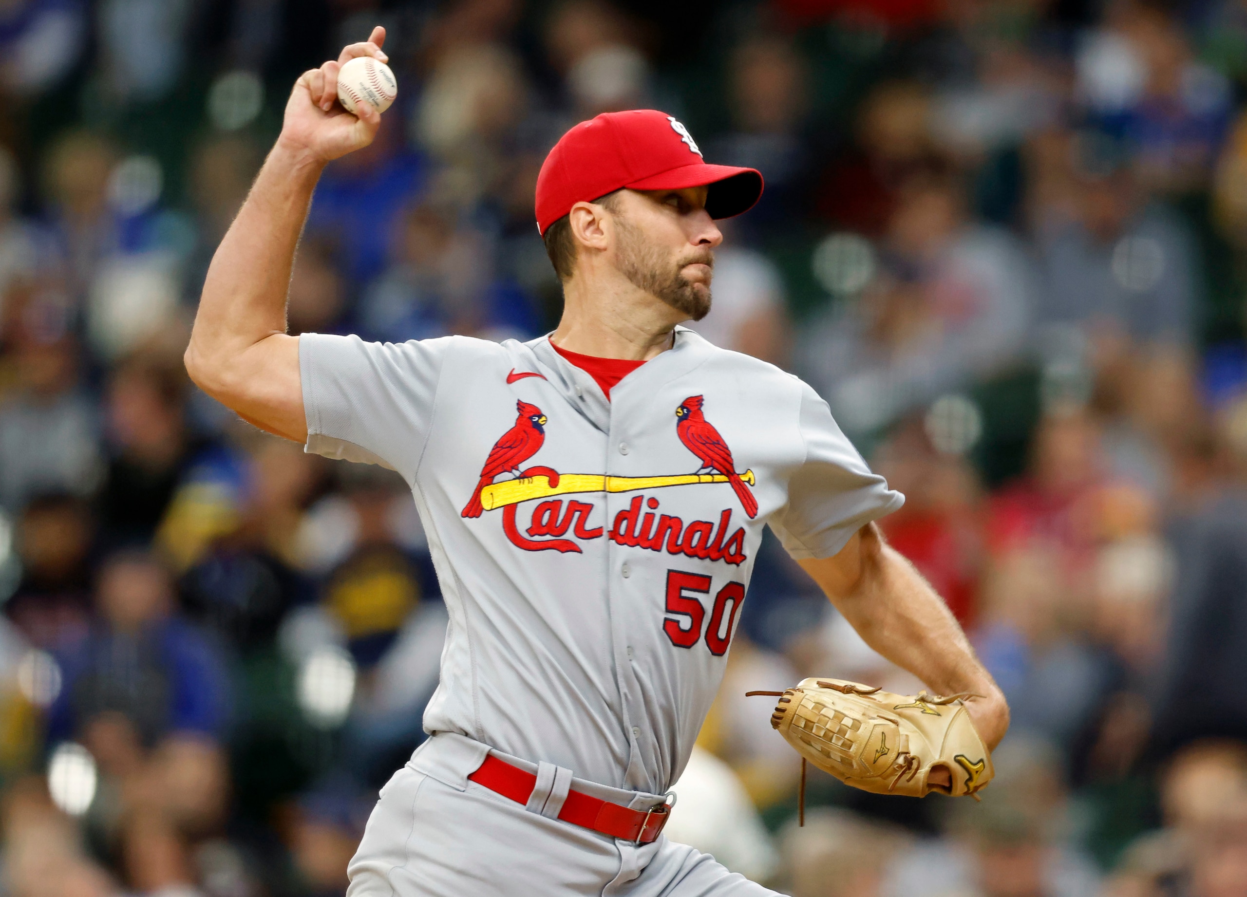 St. Louis Cardinals starting pitcher Adam Wainwright strikes out Milwaukee Brewers' Luis Urias for his career 2,000th strikeout during the fourth inning of a baseball game Thursday, Sept. 23, 2021, in Milwaukee. (AP Photo/Jeffrey Phelps) St. Louis Cardinals starting pitcher Adam Wainwright strikes out Milwaukee Brewers' Luis Urias for his career 2,000th strikeout during the fourth inning of a baseball game Thursday, Sept. 23, 2021, in Milwaukee. (AP Photo/Jeffrey Phelps)