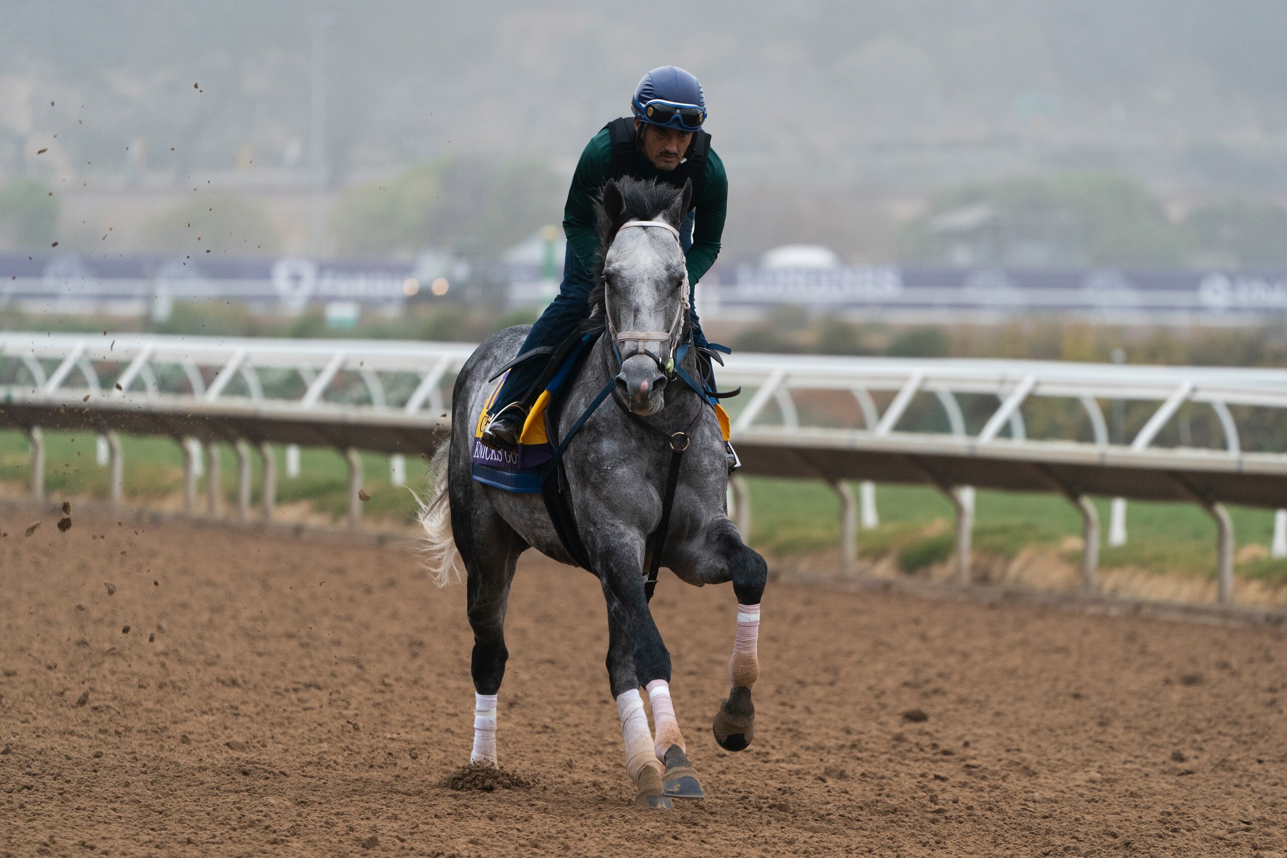 An exercise rider takes Knicks Go for a morning workout at Del Mar racetrack prior to the Breeders' Cup World Championship horse races Thursday, Nov. 4, 2021, in Del Mar, Calif. (AP Photo/Jae C. Hong) An exercise rider takes Knicks Go for a morning workout at Del Mar racetrack prior to the Breeders' Cup World Championship horse races Thursday, Nov. 4, 2021, in Del Mar, Calif. (AP Photo/Jae C. Hong)