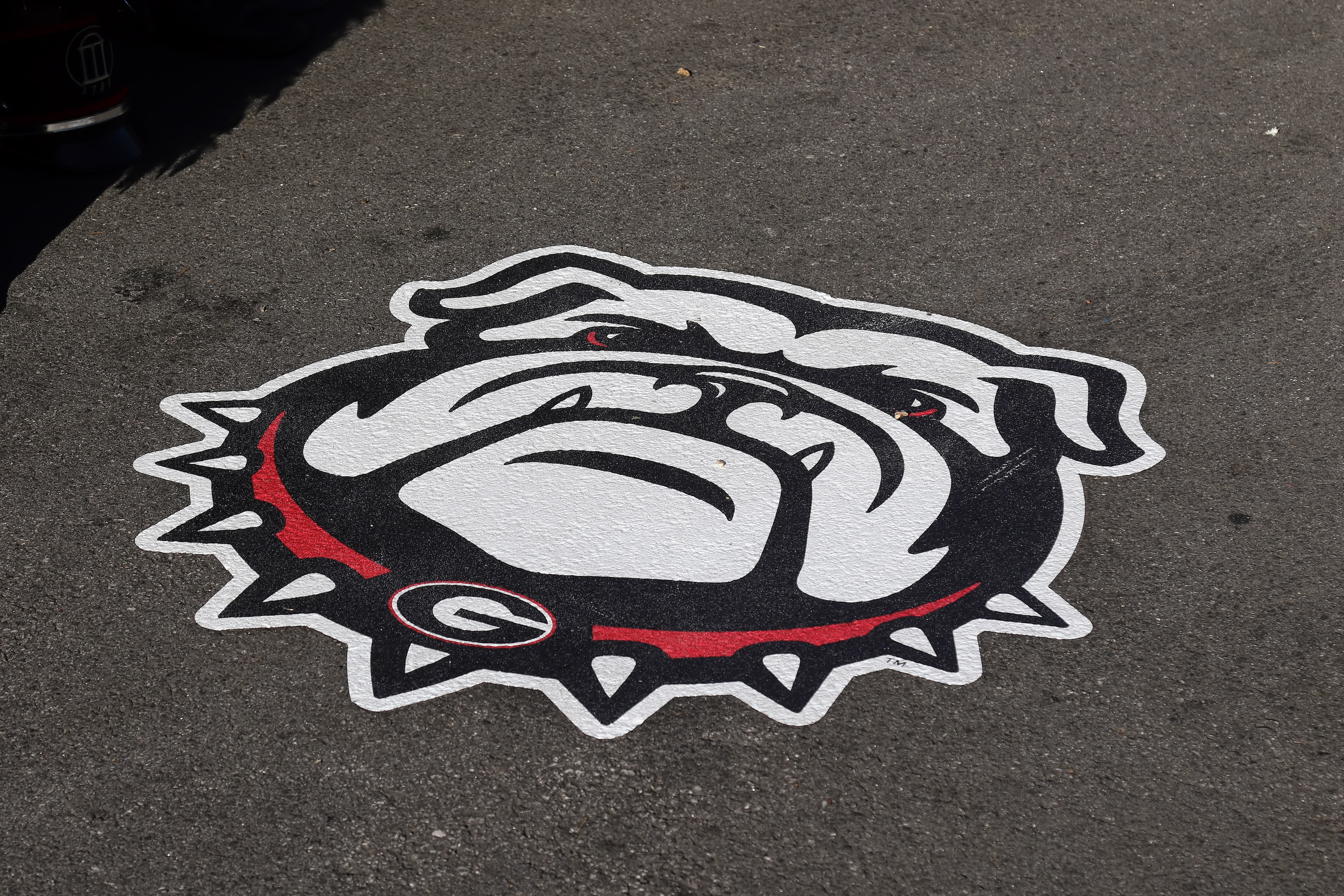 ATHENS, GA - SEPTEMBER 21:   A general view of the Georgia Bulldog logo at the game between the Georgia Bulldogs and the Notre Dame Fighting Irish on September 21, 2019 at Sanford Stadium in Athens, Georgia.  (Photo by Michael Wade/Icon Sportswire via Getty Images)