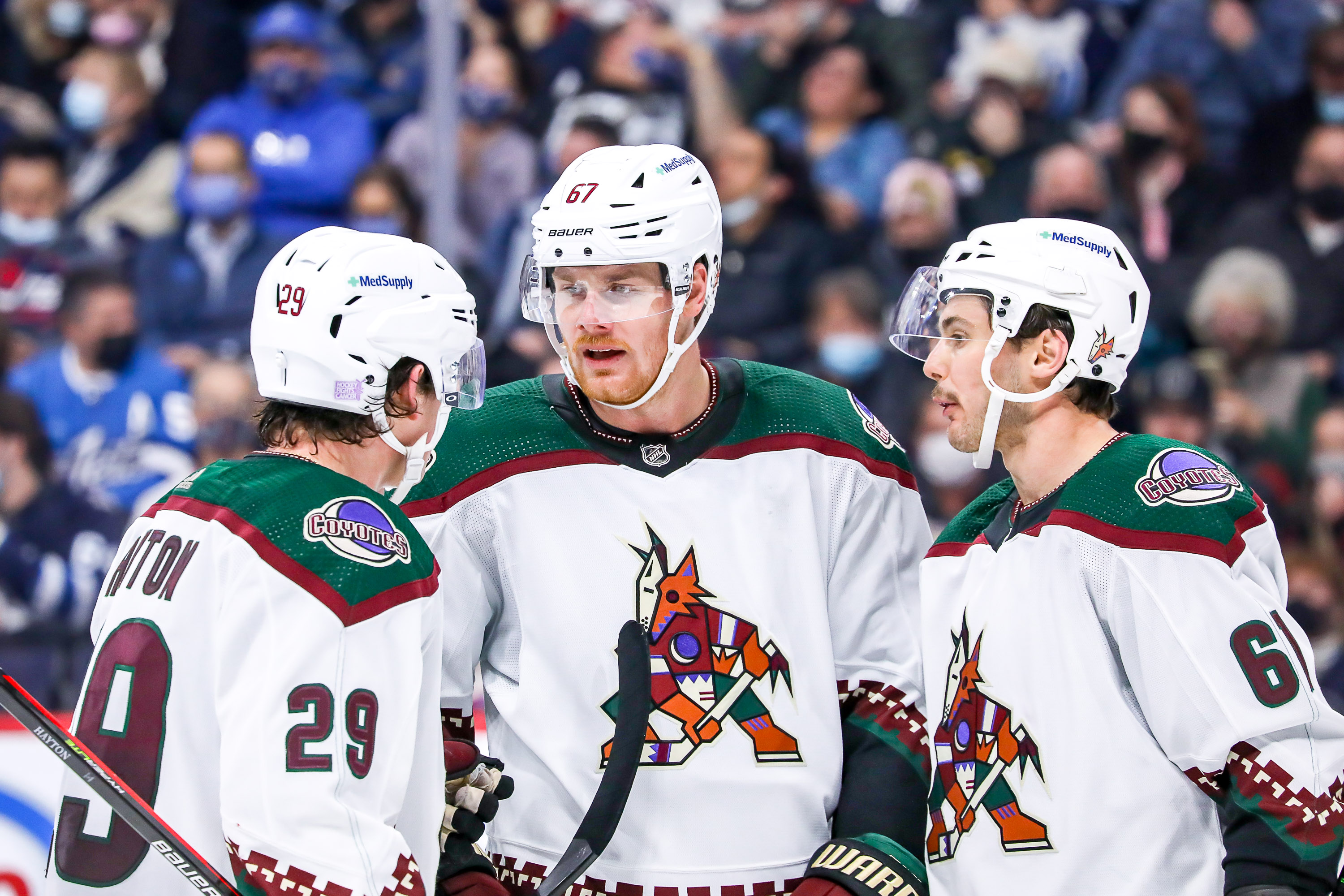 WINNIPEG, MB - NOVEMBER 29: Barrett Hayton #29, Lawson Crouse #67 and Dysin Mayo #61 of the Arizona Coyotes discuss strategy during a third period stoppage in play against the Winnipeg Jets at the Canada Life Centre on November 29, 2021 in Winnipeg, Manitoba, Canada. (Photo by Darcy Finley/NHLI via Getty Images)