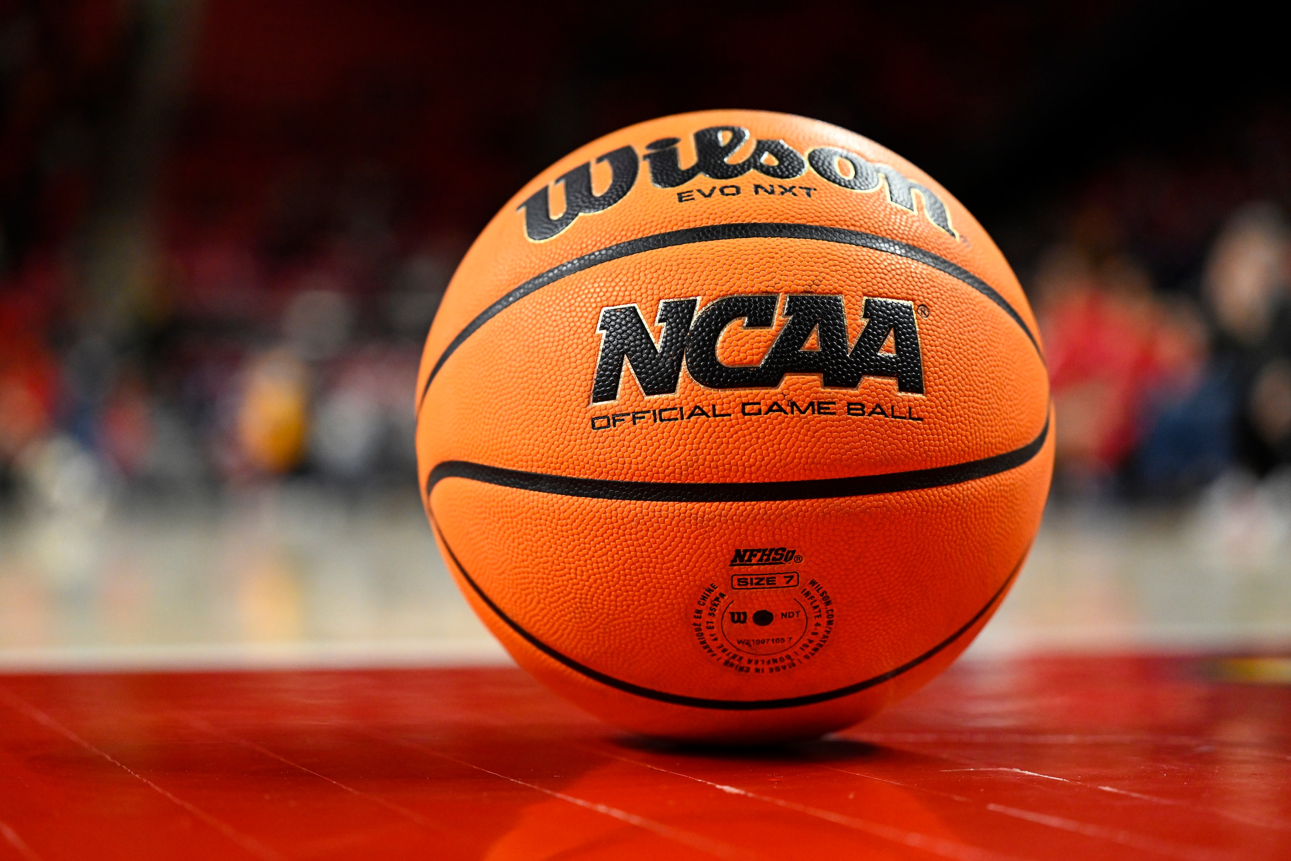 COLLEGE PARK, MARYLAND - JANUARY 15: The NCAA logo on a basketball during the game between the Maryland Terrapins and the Rutgers Scarlet Knights at Xfinity Center on January 15, 2022 in College Park, Maryland. (Photo by G Fiume/Getty Images)
