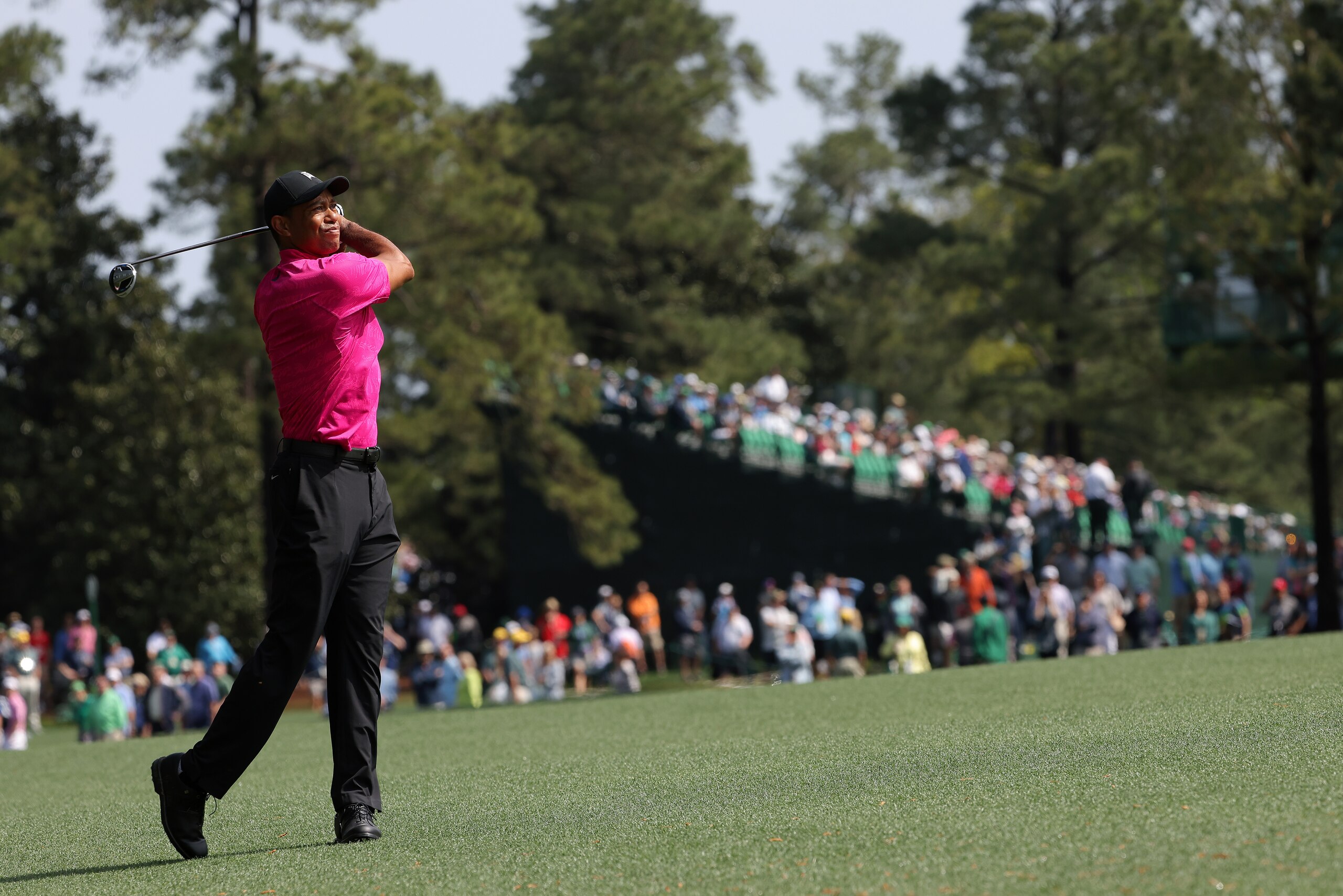 AUGUSTA, GEORGIA - APRIL 07: Tiger Woods plays his shot on the second hole during the first round of the Masters at Augusta National Golf Club on April 07, 2022 in Augusta, Georgia. (Photo by Jamie Squire/Getty Images)