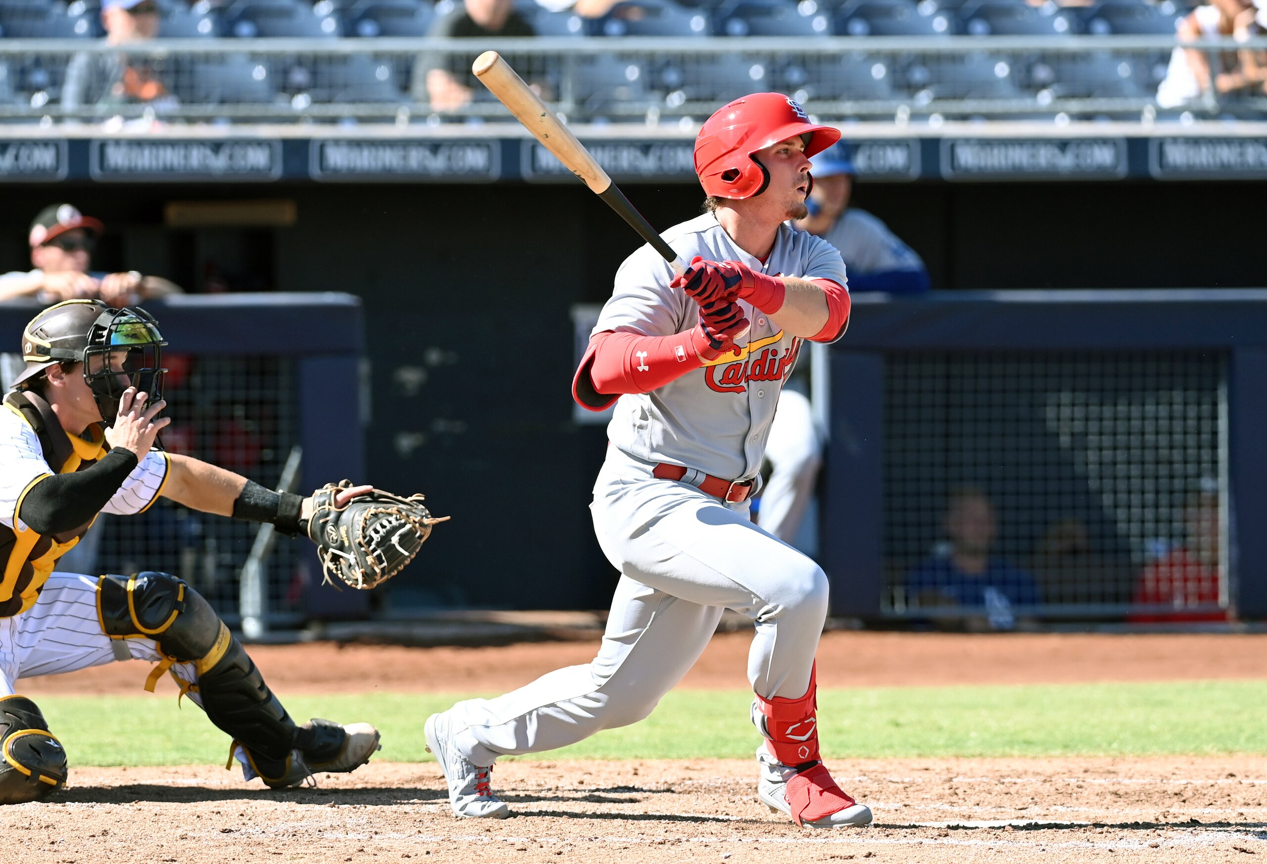 PEORIA, AZ - OCTOBER 14: Nolan Gorman #16 of the Glendale Desert Dogs hits the ball during the game between the Glendale Desert Dogs and the Peoria Javelinas at Peoria Sports Complex on Thursday, October 14, 2021 in Peoria, Arizona. (Photo by Norm Hall/MLB Photos via Getty Images)