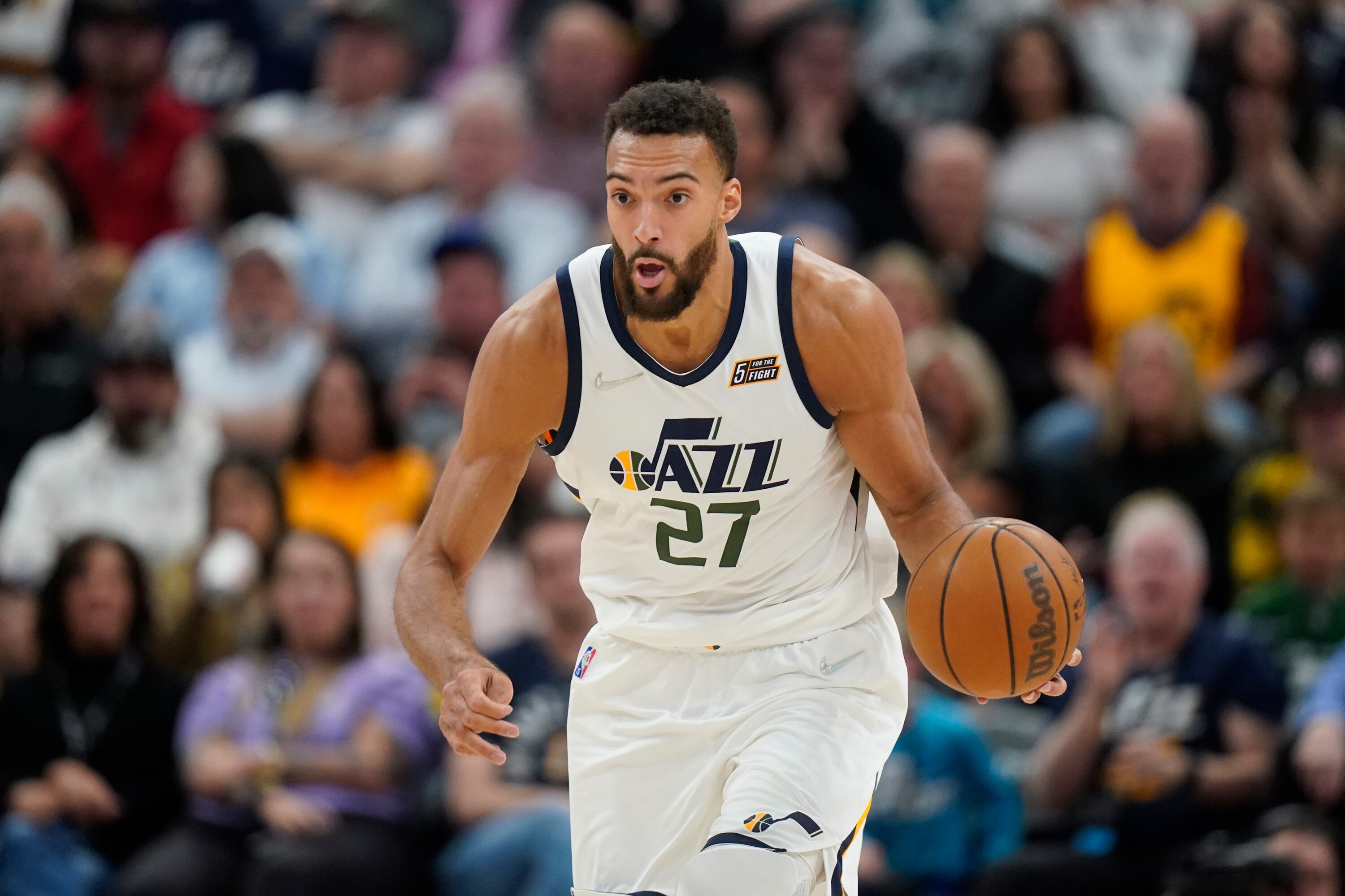 Jazz's Rudy Gobert Posts Photo of Swollen Face After Being Stung by Bee