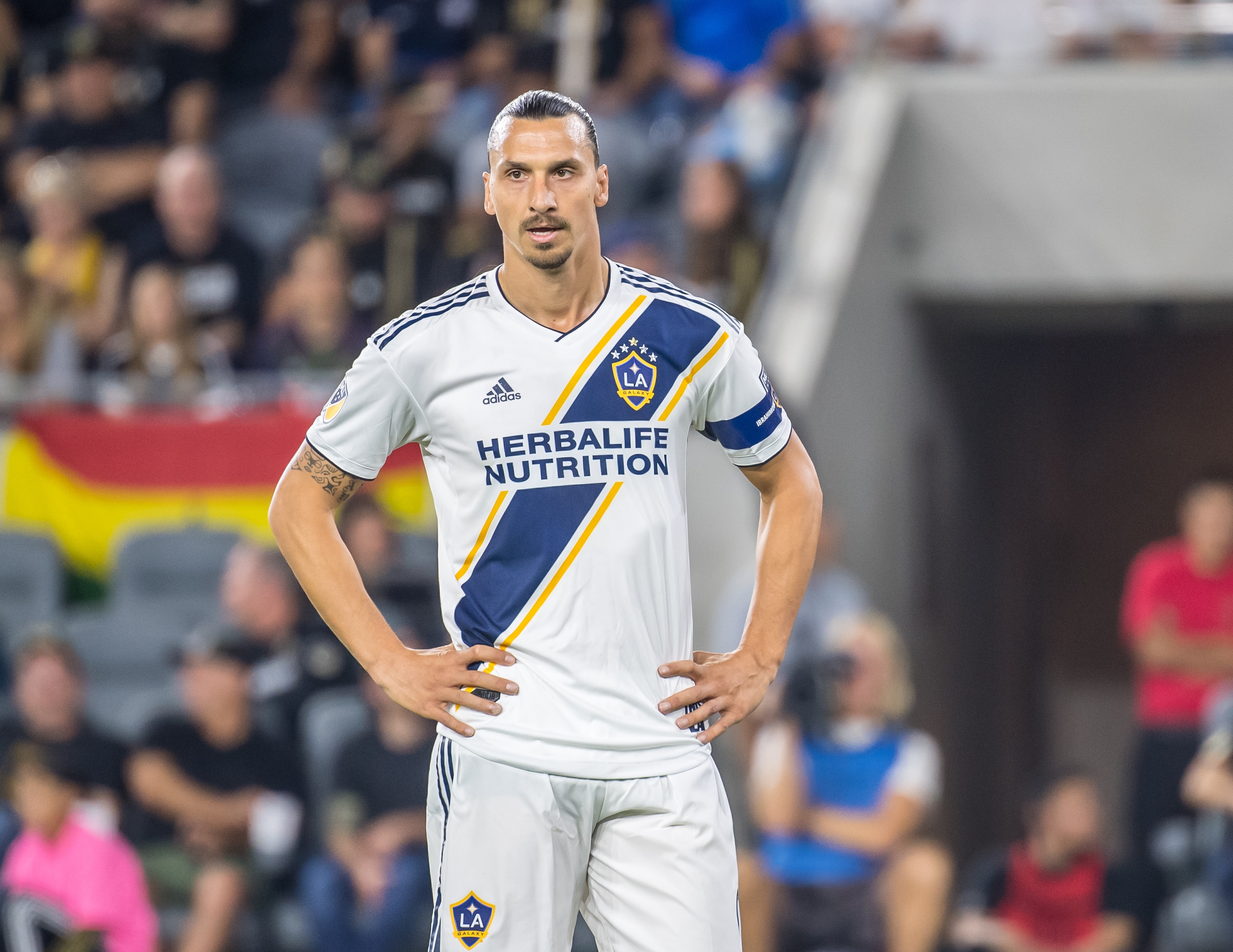 LOS ANGELES, CA - OCTOBER 24: Zlatan Ibrahimovic #9 of Los Angeles Galaxy during the MLS Western Conference Semi-final between Los Angeles FC and Los Angeles Galaxy at the Banc of California Stadium on October 24, 2019 in Los Angeles, California. Los Angeles FC won the match 5-3 (Photo by Shaun Clark/Getty Images)