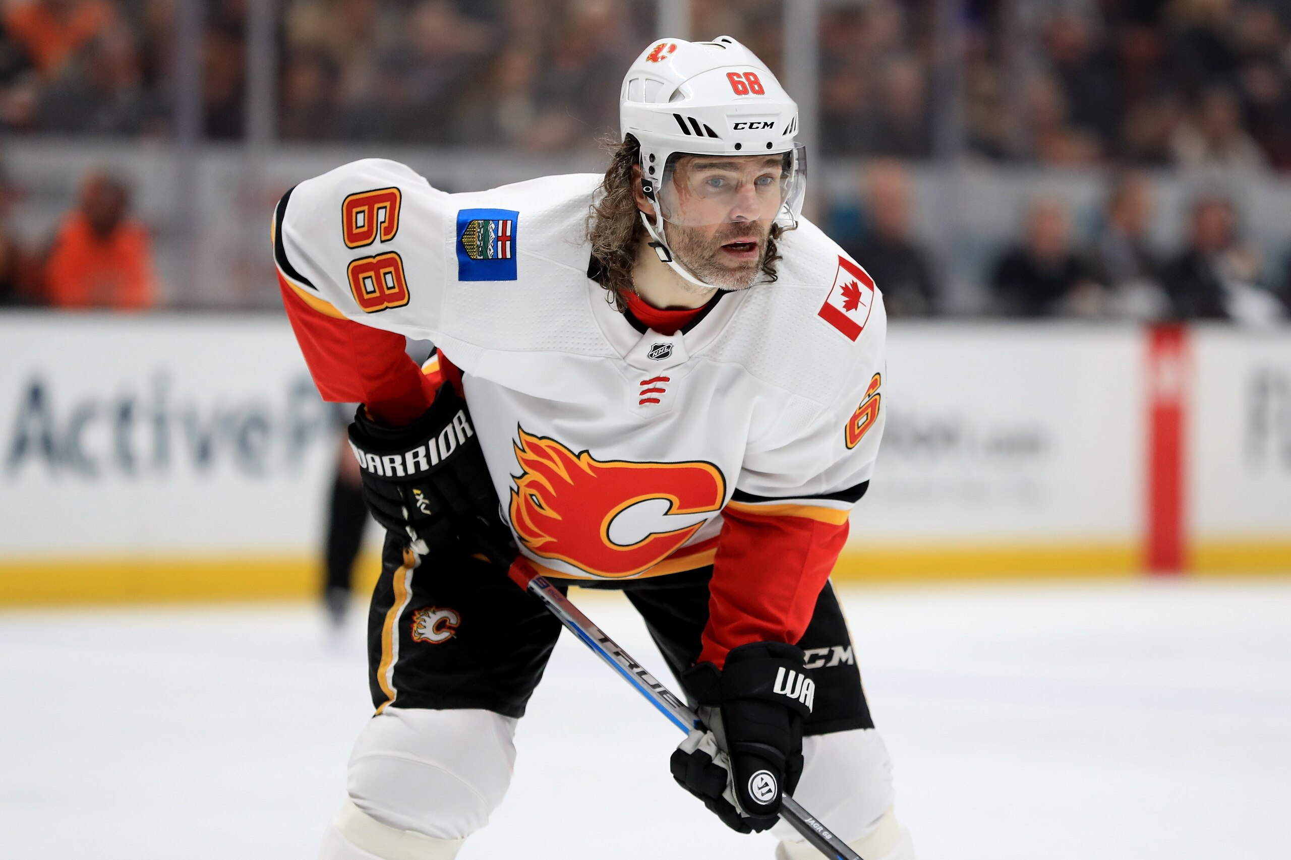 ANAHEIM, CA - DECEMBER 29:  Jaromir Jagr #68 of the Calgary Flames looks on during the second period of a game against the Anaheim Ducks  at Honda Center on December 29, 2017 in Anaheim, California.  (Photo by Sean M. Haffey/Getty Images)
