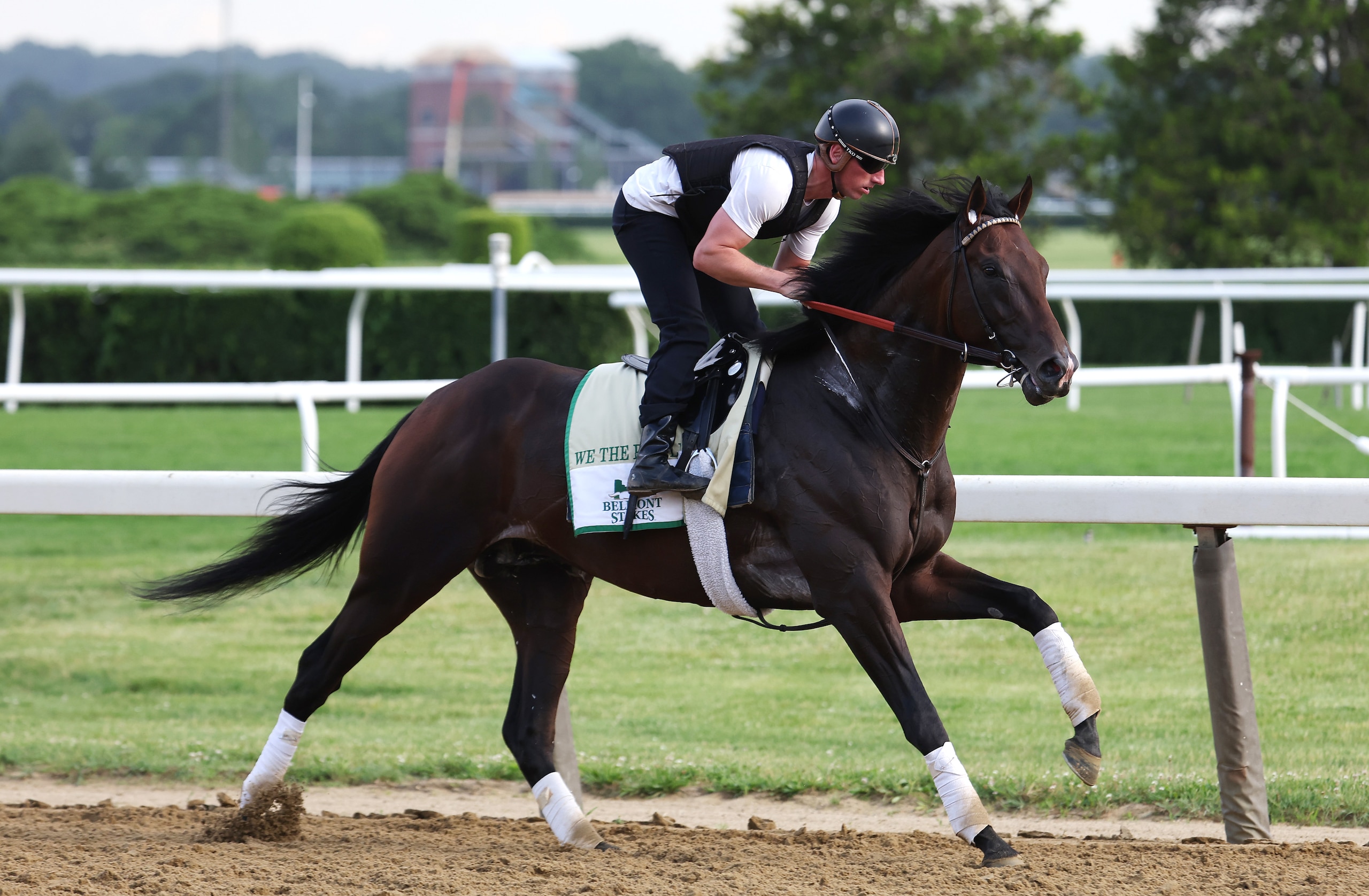 ELMONT, NEW YORK - JUNE 08:  We The People gallops with trainer Rodolphe Brisset up during a morning workout prior to the 154th running of the Belmont Stakes at Belmont Park on June 08, 2022 in Elmont, New York. (Photo by Al Bello/Getty Images)