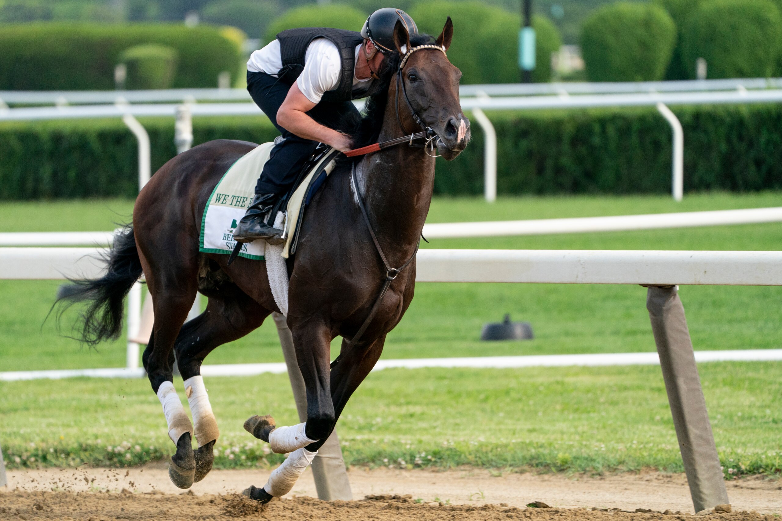 We the People, ridden by trainer Rodolphe Brisset, trains before the 154th running of the Belmont Stakes horse race, Wednesday, June 8, 2022, in Elmont, N.Y. Kentucky Derby winner Rich Strike is the third betting choice on the morning line for the Belmont Stakes, with Triple Crown newcomer We the People installed as the favorite. (AP Photo/John Minchillo)