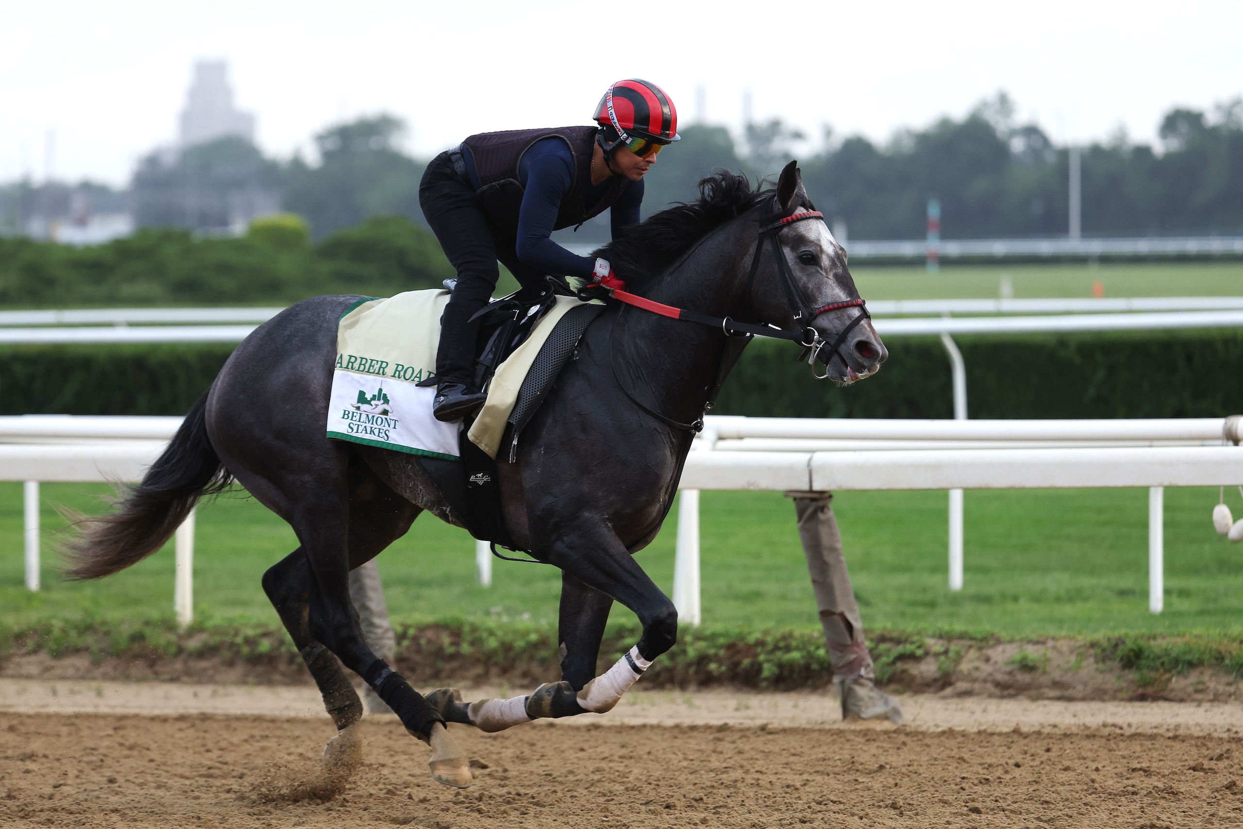 ELMONT, NEW YORK - JUNE 08:  Barber Road gallops during a morning workout prior to the 154th running of the Belmont Stakes at Belmont Park on June 08, 2022 in Elmont, New York. (Photo by Al Bello/Getty Images)