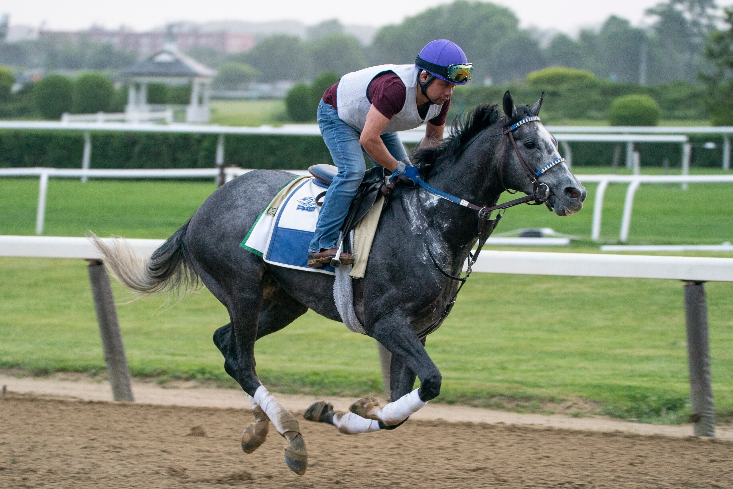 Creative Minister trains before the 154th running of the Belmont Stakes horse race, Wednesday, June 8, 2022, in Elmont, N.Y. (AP Photo/John Minchillo)