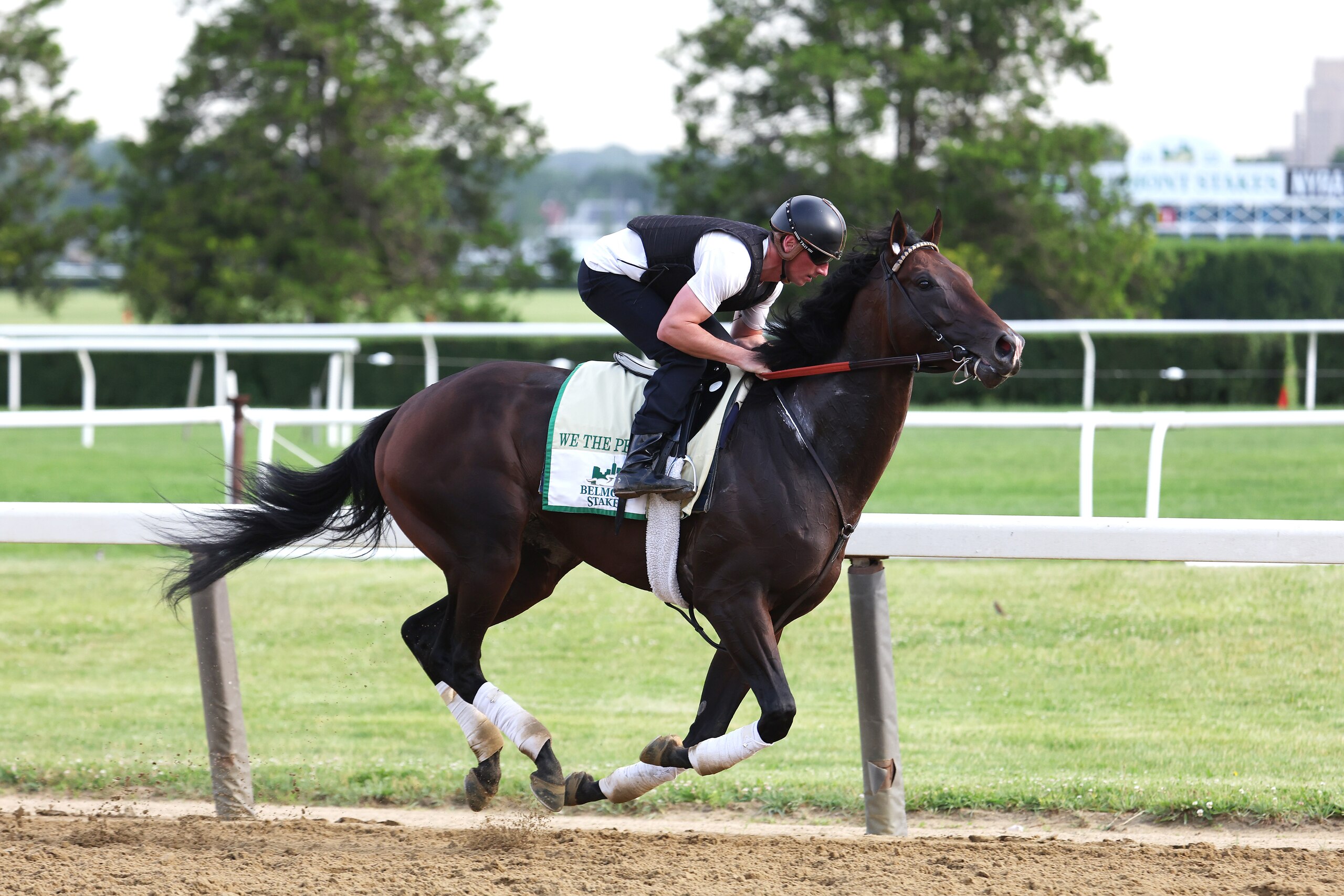 ELMONT, NEW YORK - JUNE 08:  We The People gallops with trainer Rodolphe Brisset up during a morning workout prior to the 154th running of the Belmont Stakes at Belmont Park on June 08, 2022 in Elmont, New York. (Photo by Al Bello/Getty Images)