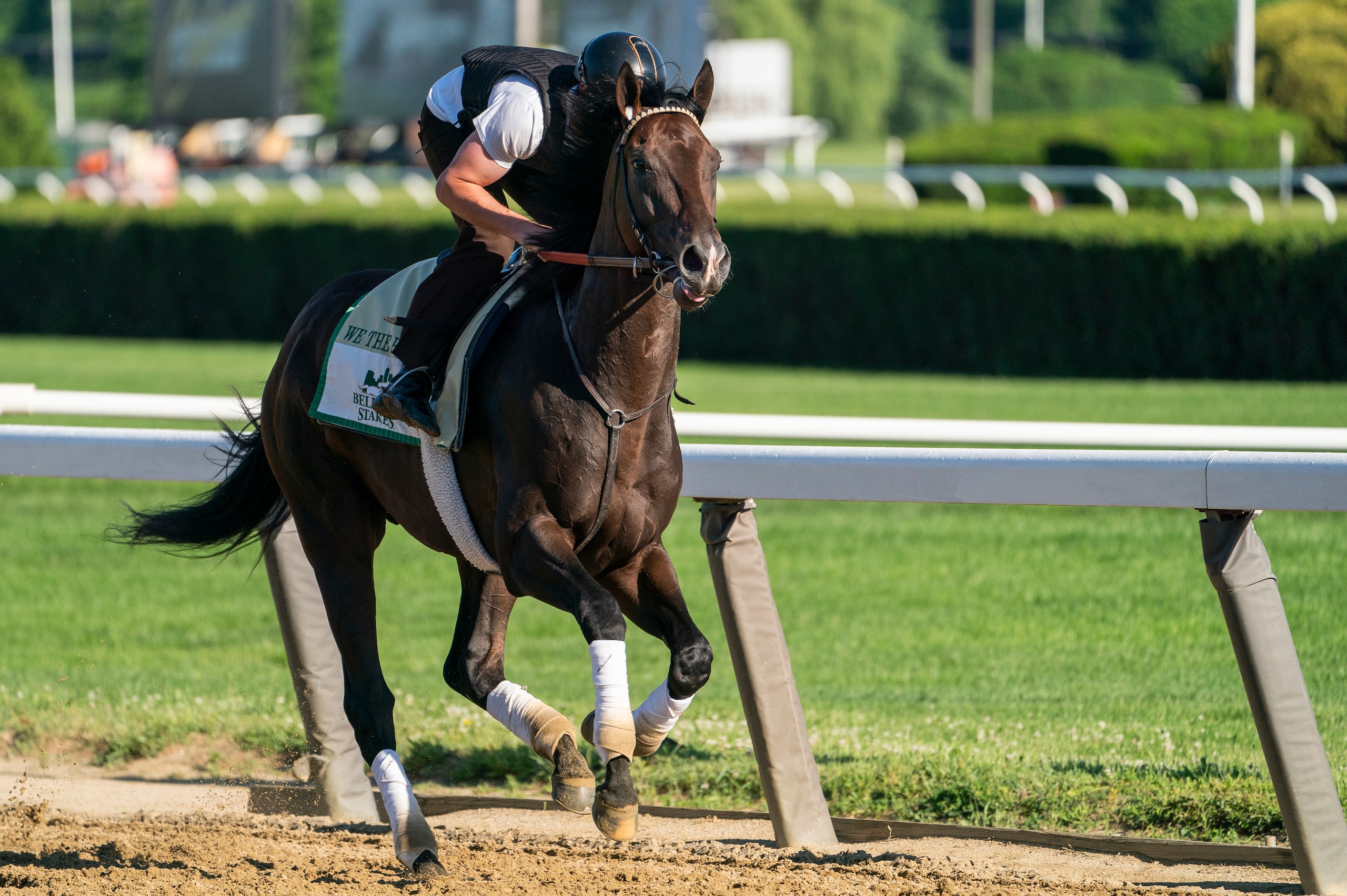 We the People trains before the 154th running of the Belmont Stakes horse race, Friday, June 10, 2022, in Elmont, N.Y. (AP Photo/John Minchillo)