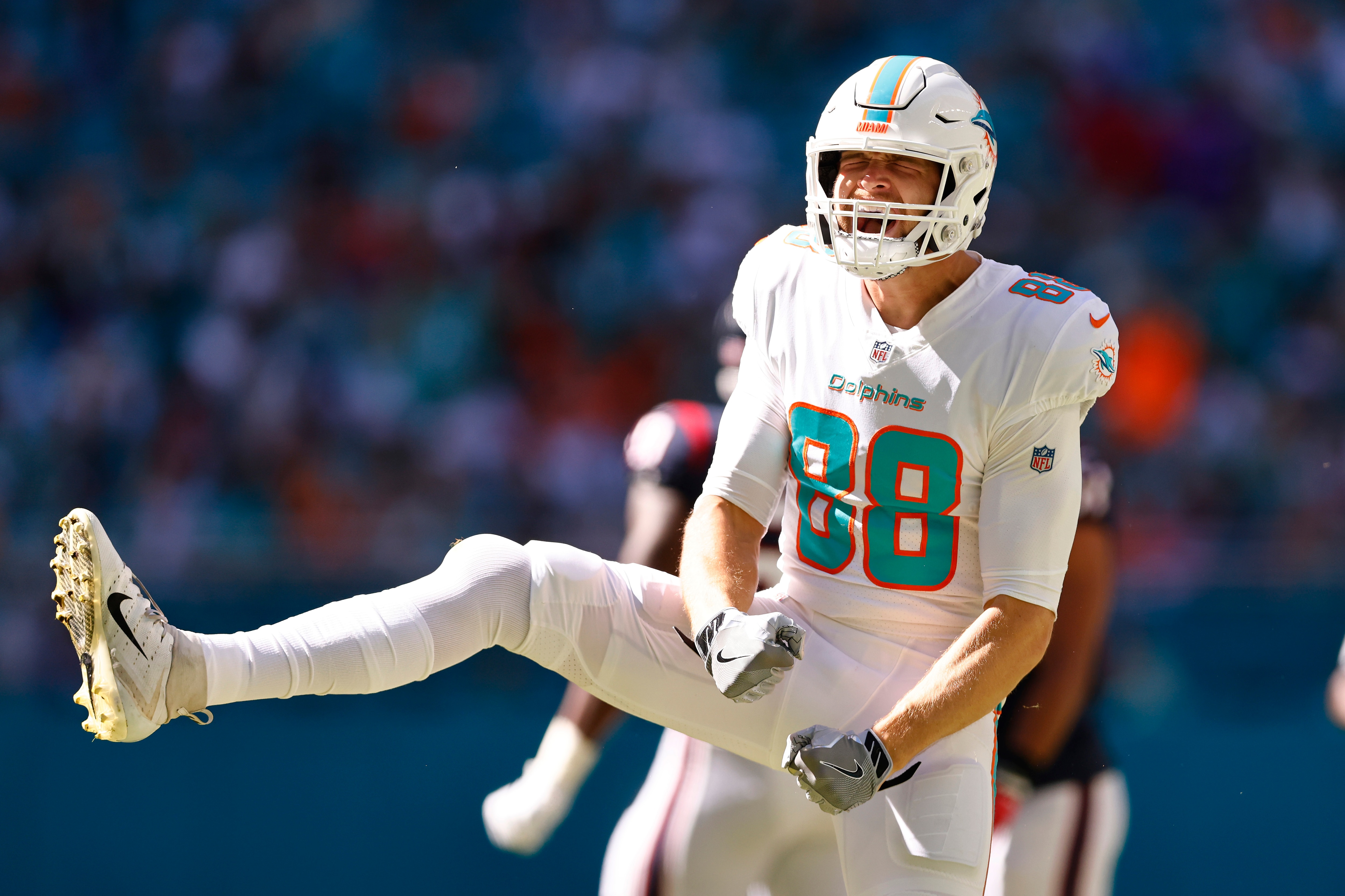 MIAMI GARDENS, FLORIDA - NOVEMBER 07: Mike Gesicki #88 of the Miami Dolphins celebrates a reception against the Houston Texans at Hard Rock Stadium on November 07, 2021 in Miami  (Photo by Michael Reaves/Getty Images)