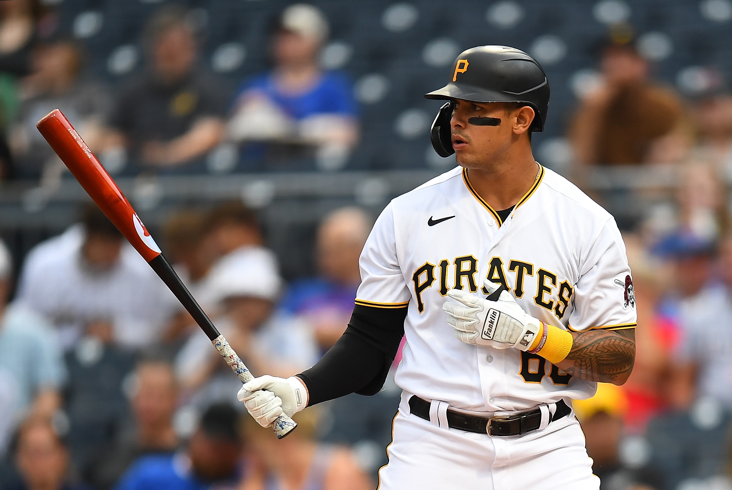 PITTSBURGH, PA - JUNE 22:  Bligh Madris #66 of the Pittsburgh Pirates in action during the game against the Chicago Cubs at PNC Park on June 22, 2022 in Pittsburgh, Pennsylvania. (Photo by Joe Sargent/Getty Images)
