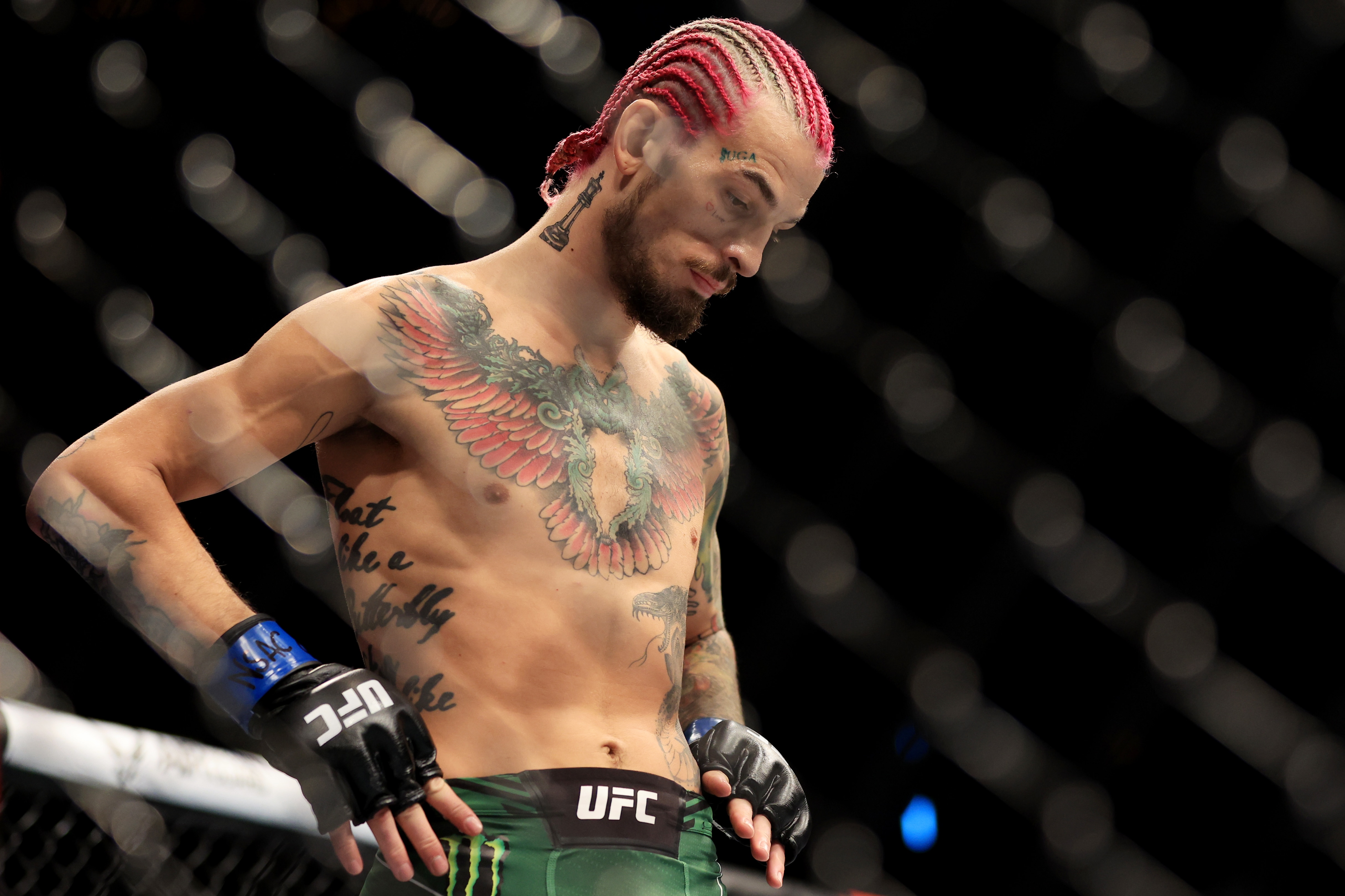 LAS VEGAS, NEVADA - JULY 02: Sean O'Malley reacts following his bantamweight bout against Pedro Munhoz of Brazil during UFC 276 at T-Mobile Arena on July 02, 2022 in Las Vegas, Nevada. The fight was ruled a no contest after an unintentional eye poke. (Photo by Carmen Mandato/Getty Images)