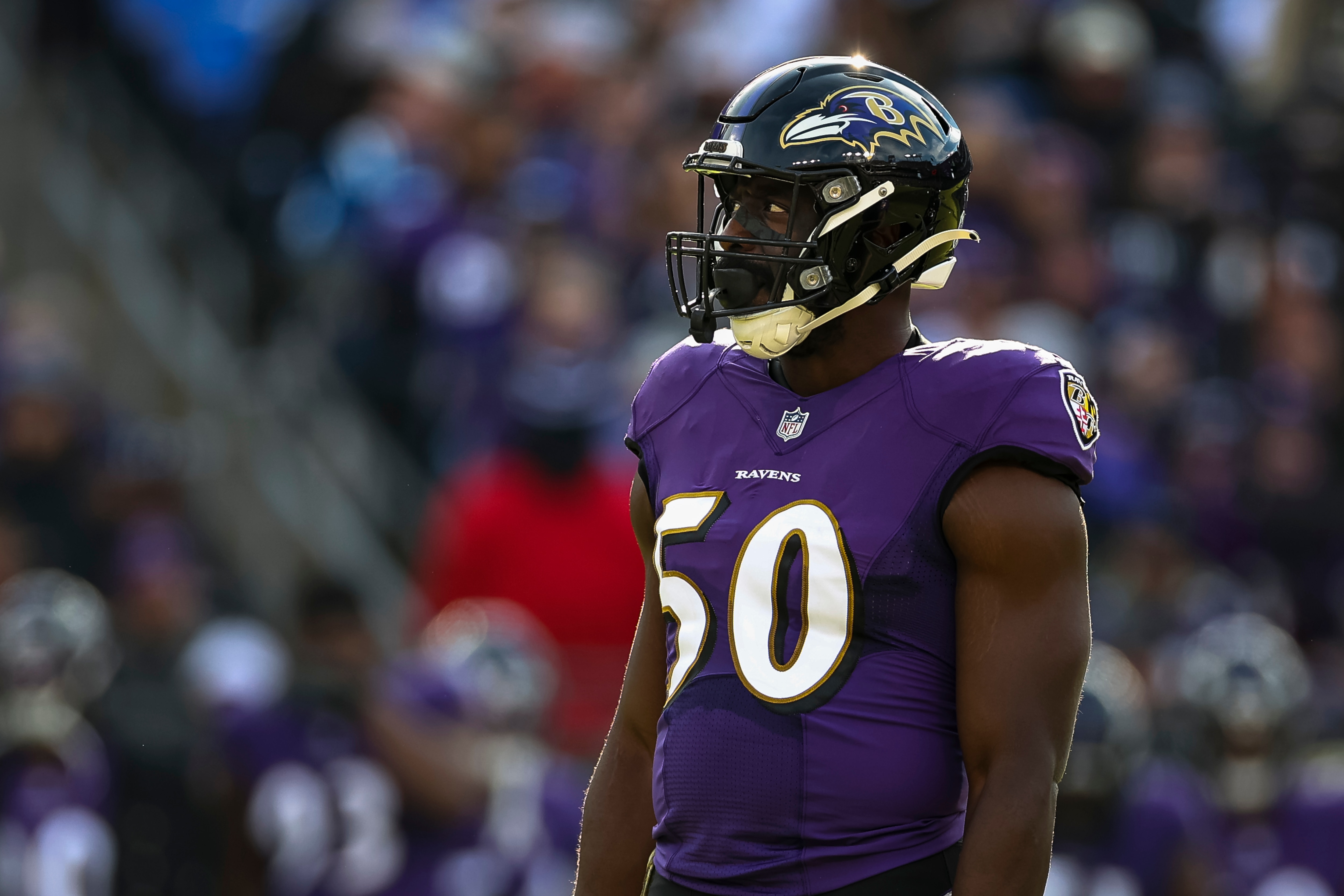 BALTIMORE, MD - NOVEMBER 07: Justin Houston #50 of the Baltimore Ravens looks on during the first half at M&T Bank Stadium on November 7, 2021 in Baltimore, Maryland. (Photo by Scott Taetsch/Getty Images)"nNo licensing by any casino, sportsbook, and/or fantasy sports organization for any purpose. During game play, no use of images within play-by-play, statistical account or depiction of a game (e.g., limited to use of fewer than 10 images during the game). BALTIMORE, MD - NOVEMBER 07: Justin Houston #50 of the Baltimore Ravens looks on during the first half at M&T Bank Stadium on November 7, 2021 in Baltimore, Maryland. (Photo by Scott Taetsch/Getty Images)"nNo licensing by any casino, sportsbook, and/or fantasy sports organization for any purpose. During game play, no use of images within play-by-play, statistical account or depiction of a game (e.g., limited to use of fewer than 10 images during the game).