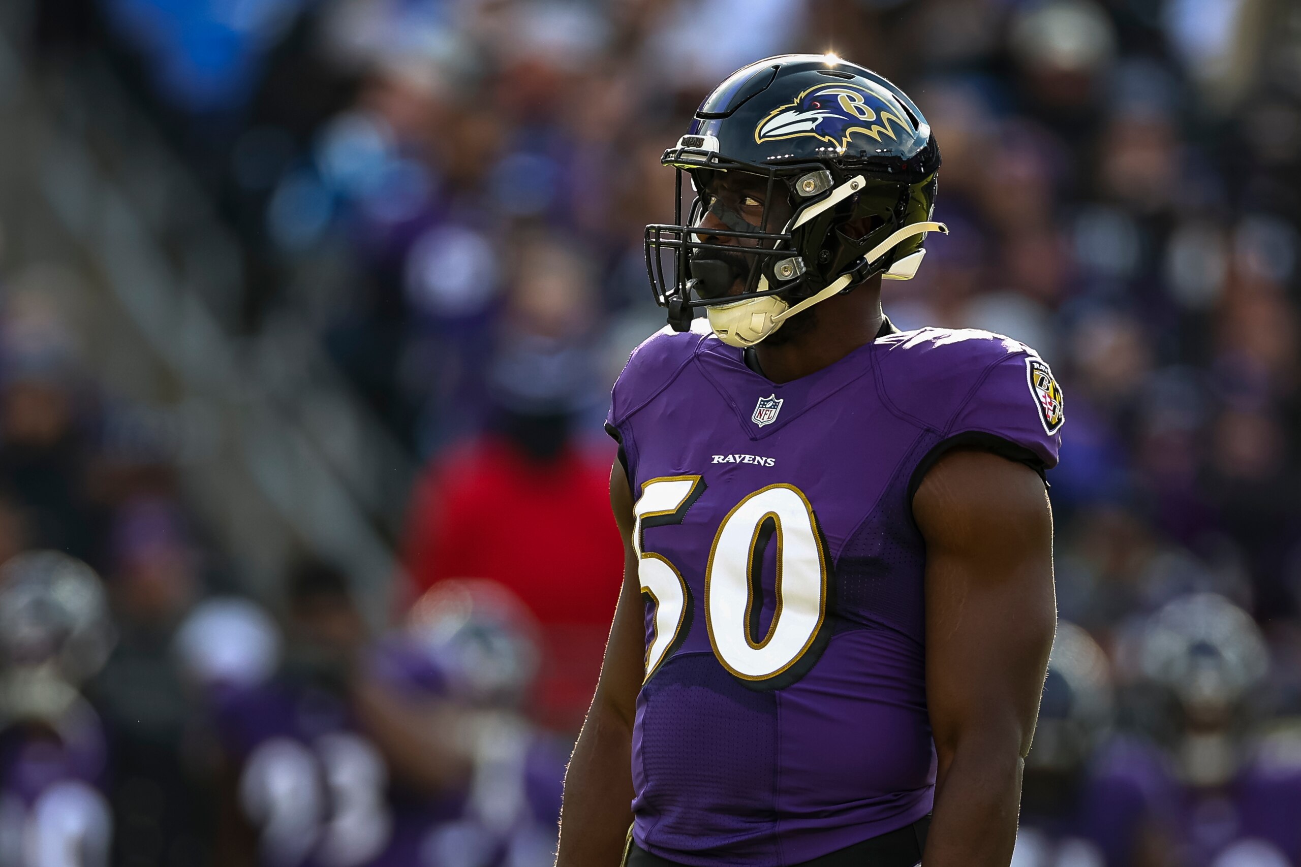 BALTIMORE, MD - NOVEMBER 07: Justin Houston #50 of the Baltimore Ravens looks on during the first half at M&T Bank Stadium on November 7, 2021 in Baltimore, Maryland. (Photo by Scott Taetsch/Getty Images)"nNo licensing by any casino, sportsbook, and/or fantasy sports organization for any purpose. During game play, no use of images within play-by-play, statistical account or depiction of a game (e.g., limited to use of fewer than 10 images during the game).