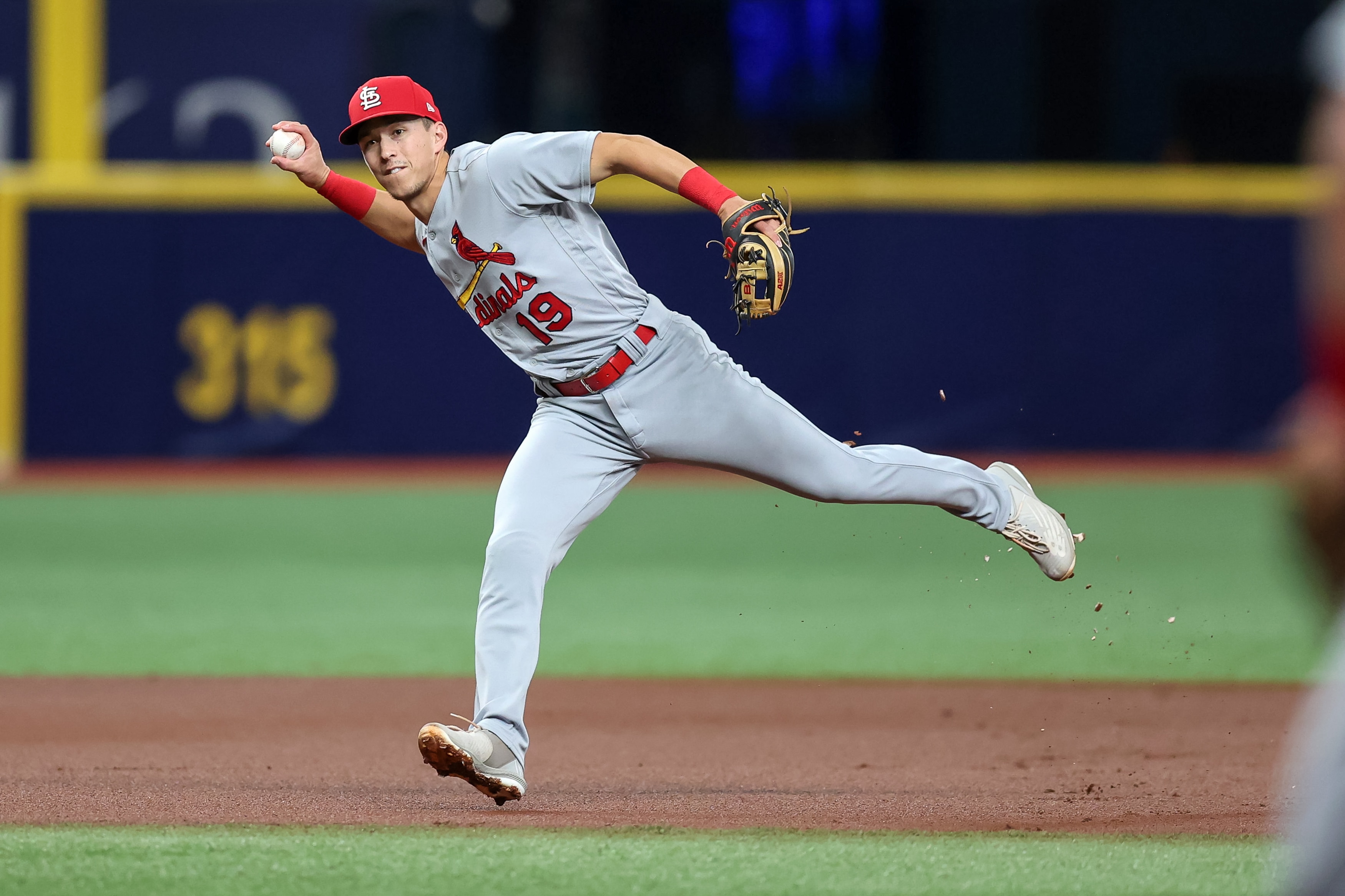 ST. PETERSBURG, FL - JUNE 8: Tommy Edman #19 of the St. Louis Cardinals fields a ground ball from the Tampa Bay Rays during a baseball game at Tropicana Field on June 8, 2022 in St. Petersburg, Florida. (Photo by Mike Carlson/Getty Images)