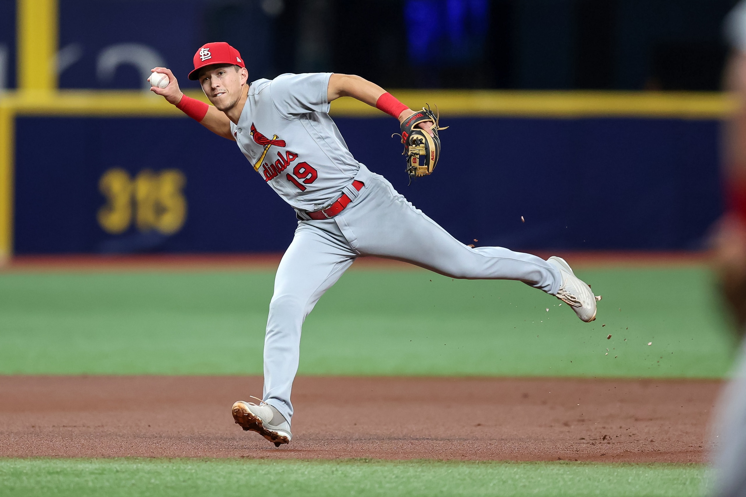ST. PETERSBURG, FL - JUNE 8: Tommy Edman #19 of the St. Louis Cardinals fields a ground ball from the Tampa Bay Rays during a baseball game at Tropicana Field on June 8, 2022 in St. Petersburg, Florida. (Photo by Mike Carlson/Getty Images)