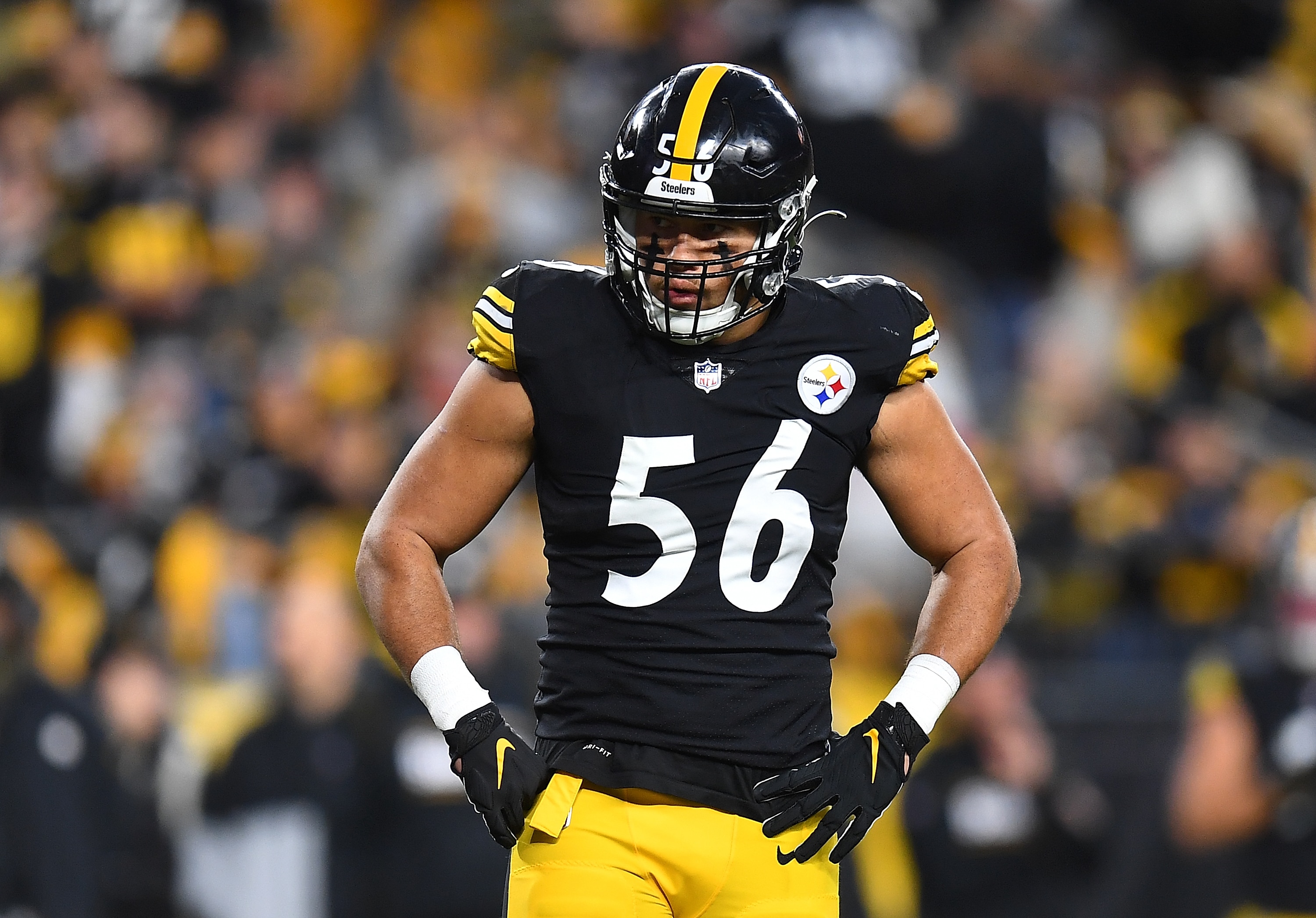 PITTSBURGH, PA - DECEMBER 05:  Alex Highsmith #56 of the Pittsburgh Steelers in action during the game against the Baltimore Ravens at Heinz Field on December 5, 2021 in Pittsburgh, Pennsylvania. (Photo by Joe Sargent/Getty Images)