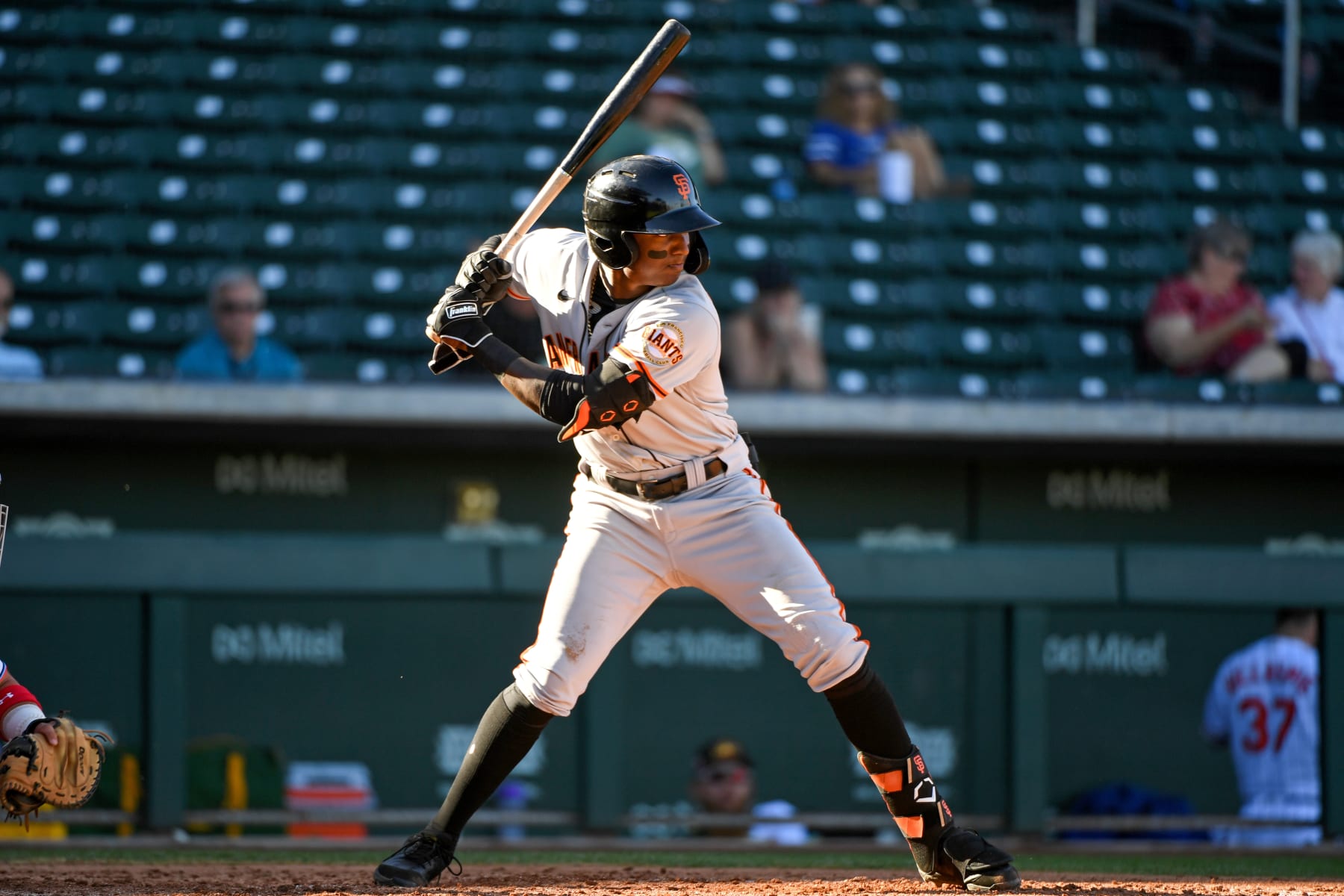 MESA, AZ - NOVEMBER 08, 2021: Marco Luciano #7 of the Scottsdale Scorpions bats during a game against the Mesa Solar Sox at Sloan Park on November 8, 2021 in Mesa, Arizona. (Photo by Chris Bernacchi/Diamond Images via Getty Images)