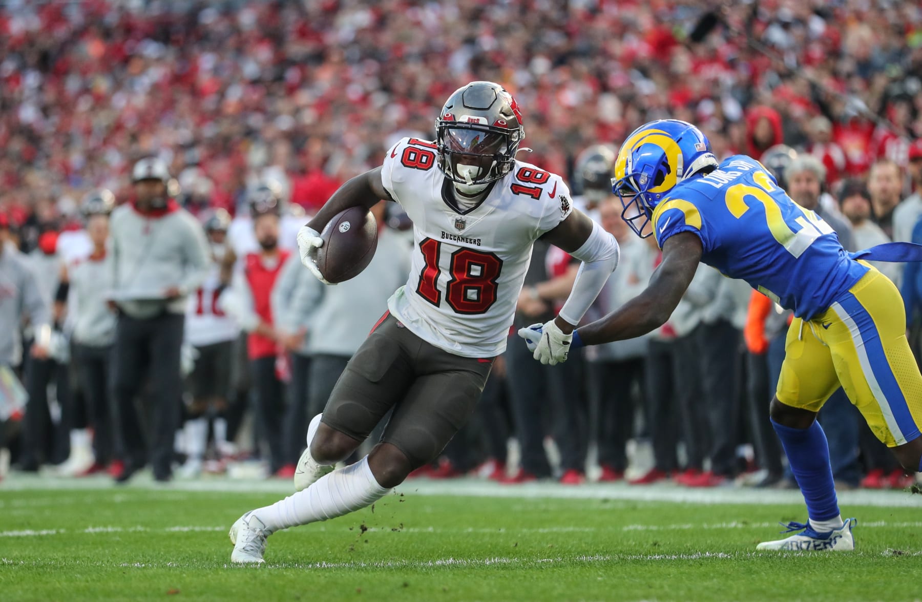 TAMPA, FL - JANUARY 23: Tampa Bay Buccaneers Wide Receiver Tyler Johnson (18) makes the catch and fights for additional yardage during the NFC Divisional game between the Los Angeles Rams and the Tampa Bay Buccaneers on January 23, 2022 at Raymond James Stadium in Tampa, Florida. (Photo by Cliff Welch/Icon Sportswire via Getty Images)
