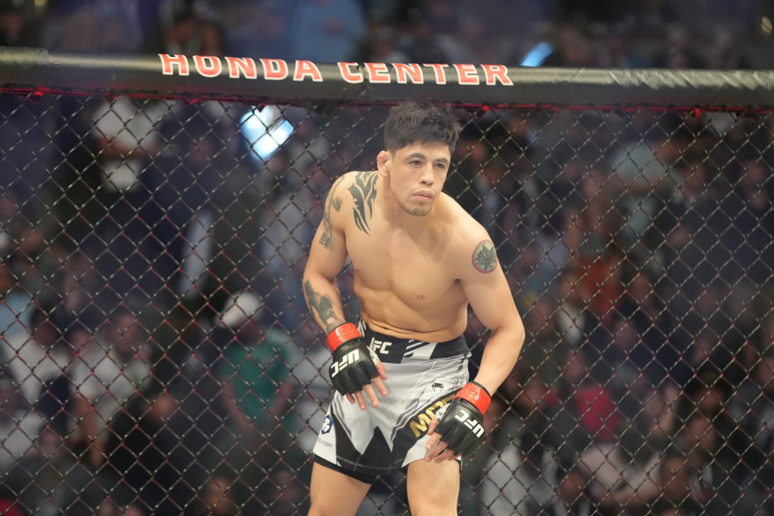 ANAHEIM, CA - JANUARY 22: Brandon Moreno prepares to fight Deiveson Figueiredo in their Flyweight championship fight during UFC 270 on January 22, 2022, at Honda Center in Anaheim, California. (Photo by Louis Grasse/PxImages/Icon Sportswire via Getty Images)