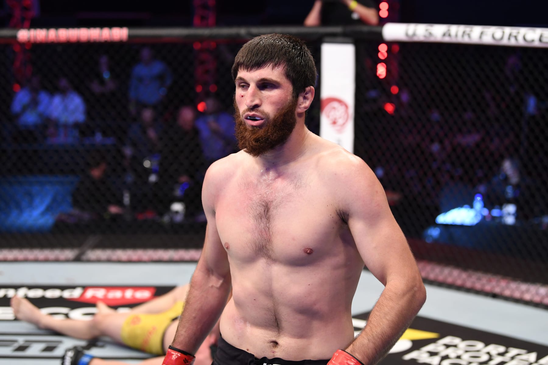 ABU DHABI, UNITED ARAB EMIRATES - OCTOBER 24:  Magomed Ankalaev of Russia celebrates his KO victory over Ion Cutelaba of Moldova in their light heavyweight bout during the UFC 254 event on October 24, 2020 on UFC Fight Island, Abu Dhabi, United Arab Emirates. (Photo by Josh Hedges/Zuffa LLC via Getty Images)