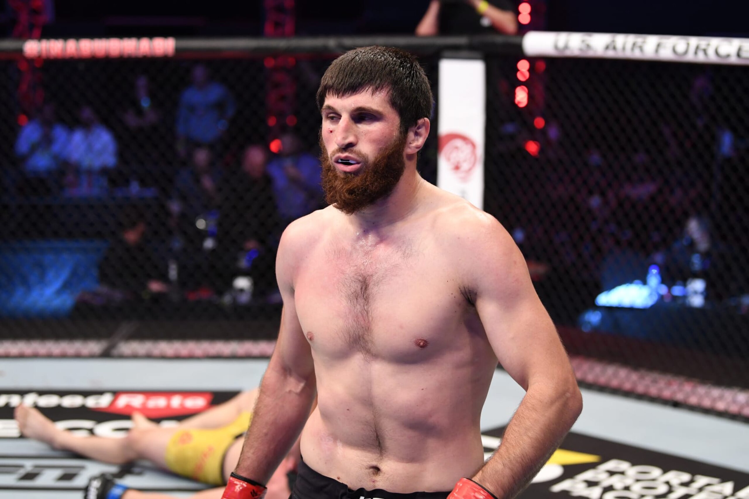 ABU DHABI, UNITED ARAB EMIRATES - OCTOBER 24: Magomed Ankalaev of Russia celebrates his KO victory over Ion Cutelaba of Moldova in their light heavyweight bout during the UFC 254 event on October 24, 2020 on UFC Fight Island, Abu Dhabi, United Arab Emirates. (Photo by Josh Hedges/Zuffa LLC via Getty Images) ABU DHABI, UNITED ARAB EMIRATES - OCTOBER 24: Magomed Ankalaev of Russia celebrates his KO victory over Ion Cutelaba of Moldova in their light heavyweight bout during the UFC 254 event on October 24, 2020 on UFC Fight Island, Abu Dhabi, United Arab Emirates. (Photo by Josh Hedges/Zuffa LLC via Getty Images)