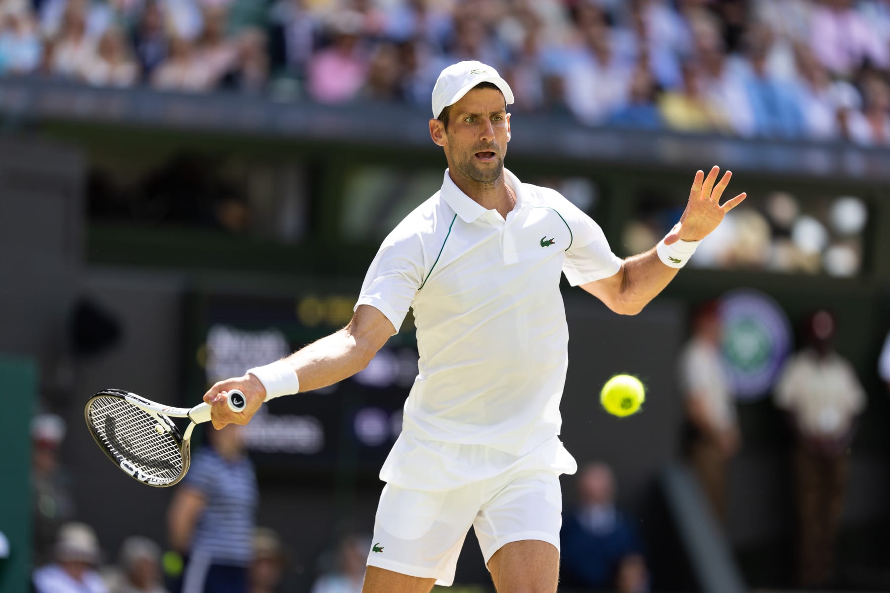 LONDON, ENGLAND - JULY 10: Novak Djokovic of Serbia in action during the Mens Singles Final against Nick Kyrgios of Australia (not pictured) at The Wimbledon Lawn Tennis Championship at the All England Lawn and Tennis Club at Wimbledon on July 10, 2022 in London, England. (Photo by Simon Bruty/Anychance/Getty Images)