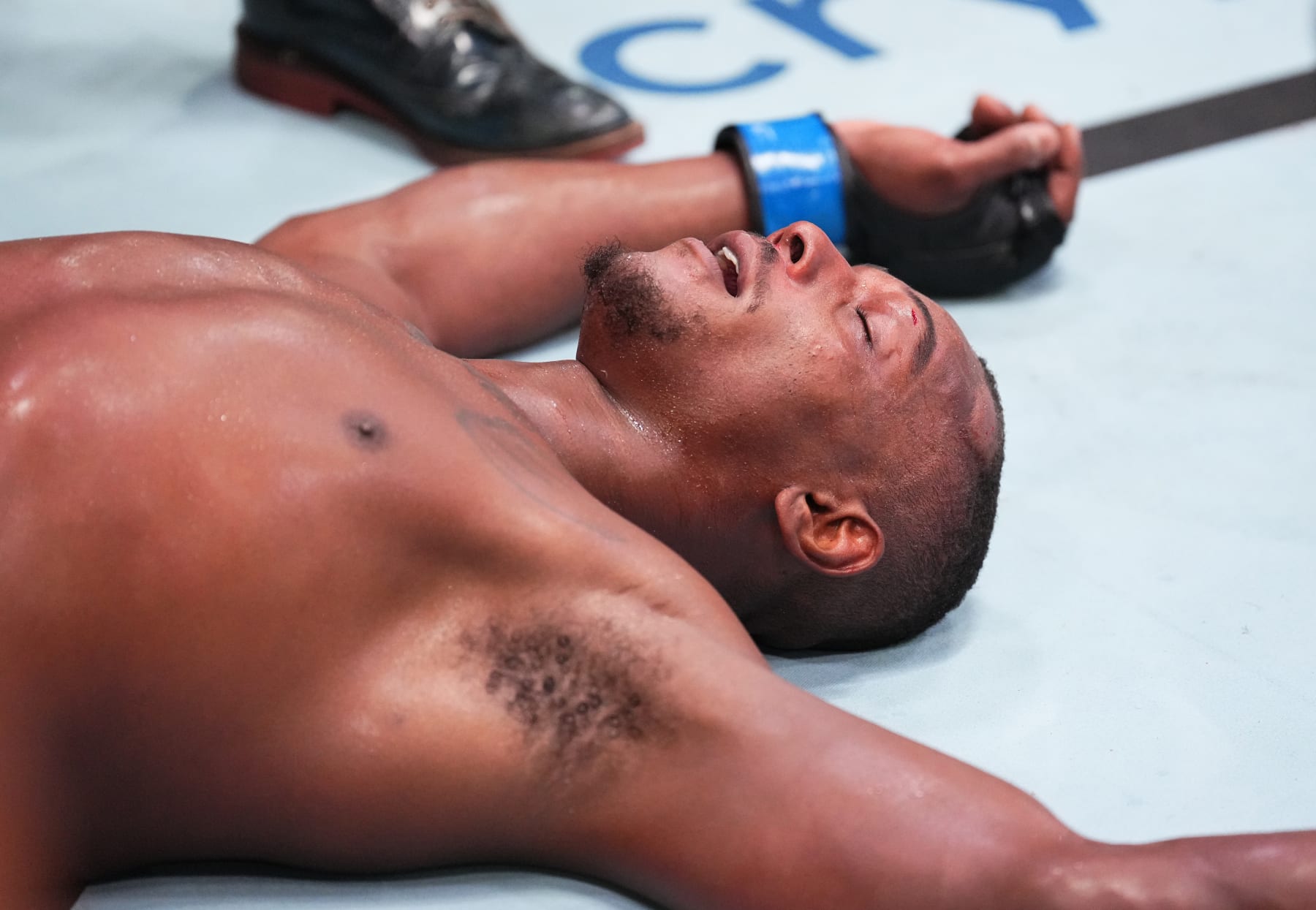 LAS VEGAS, NEVADA - AUGUST 06: Jamahal Hill reacts after his TKO victory over Thiago Santos of Brazil in a light heavyweight fight during the UFC Fight Night event at UFC APEX on August 06, 2022 in Las Vegas, Nevada. (Photo by Chris Unger/Zuffa LLC)