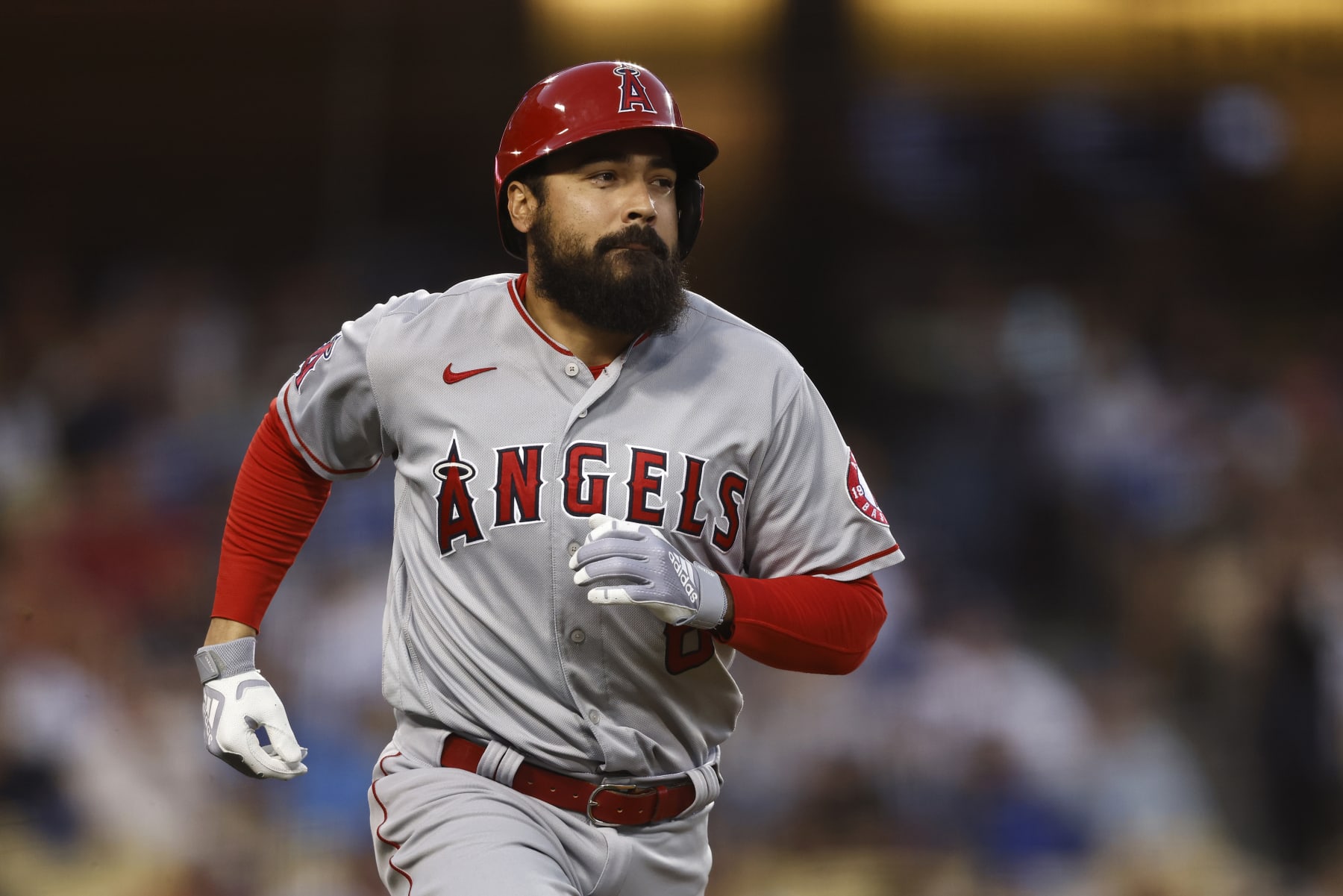LOS ANGELES, CALIFORNIA - JUNE 14: Anthony Rendon #6 of the Los Angeles Angels runs to first base against the Los Angeles Dodgers during the fourth inning at Dodger Stadium on June 14, 2022 in Los Angeles, California. (Photo by Michael Owens/Getty Images)