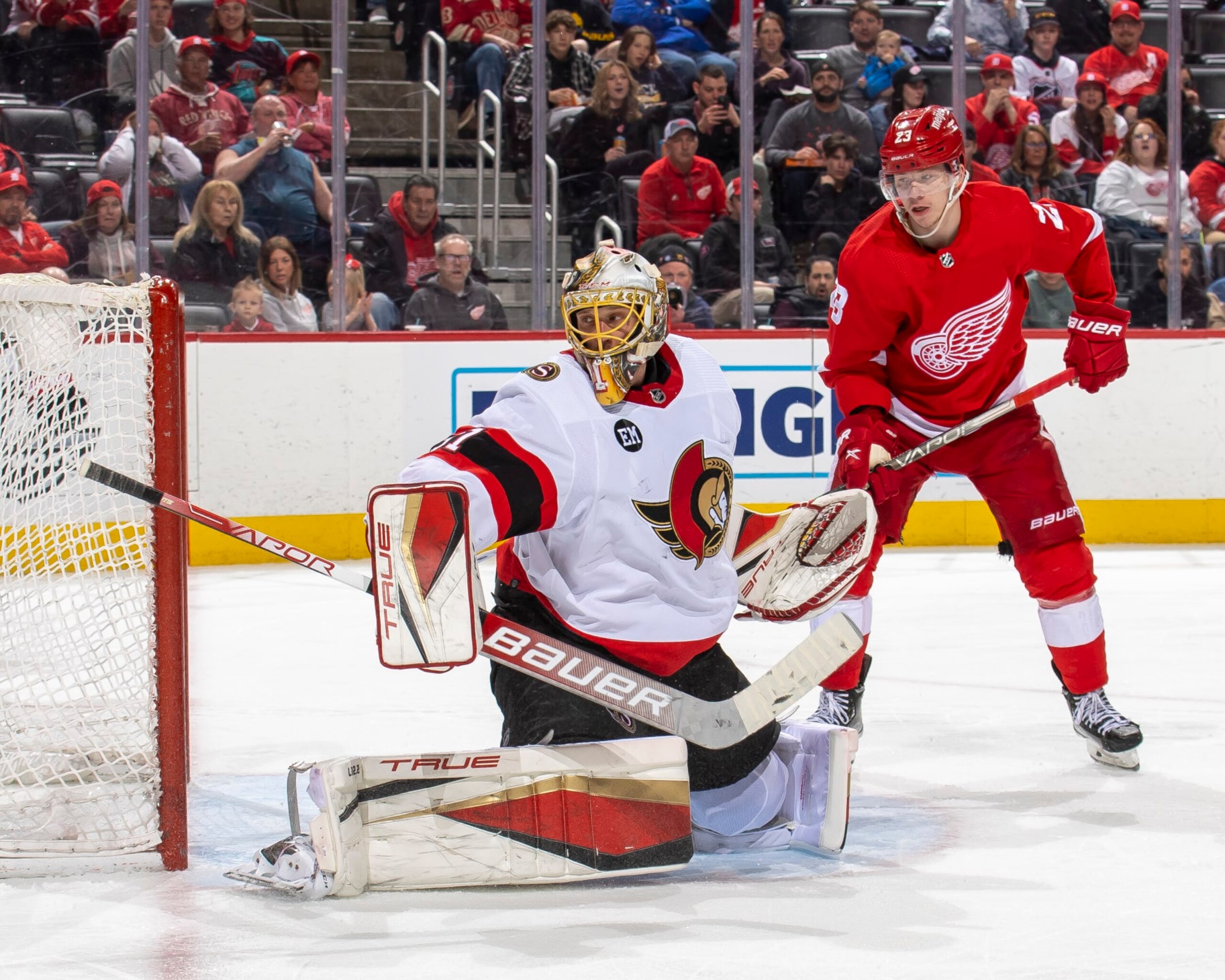 DETROIT, MI - APRIL 12: Lucas Raymond (23) of the Detroit Red Wings watches as Anton Forsberg (31) of the Ottawa Senators reacts to a shot during the third period of an NHL game at Little Caesars Arena on April 12, 2022 in Detroit, Michigan. Ottawa defeated Detroit 4-1. (Photo by Dave Reginek/NHLI via Getty Images)