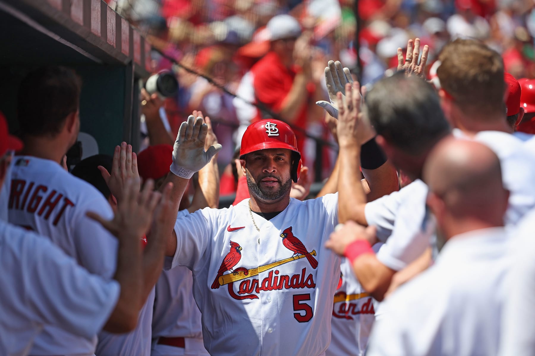 ST LOUIS, MO - AUGUST 18: Albert Pujols #5 of the St. Louis Cardinals his congratulated by teammates after hitting a grand slam against the Colorado Rockies in the third inning at Busch Stadium on August 18, 2022 in St Louis, Missouri. (Photo by Dilip Vishwanat/Getty Images)