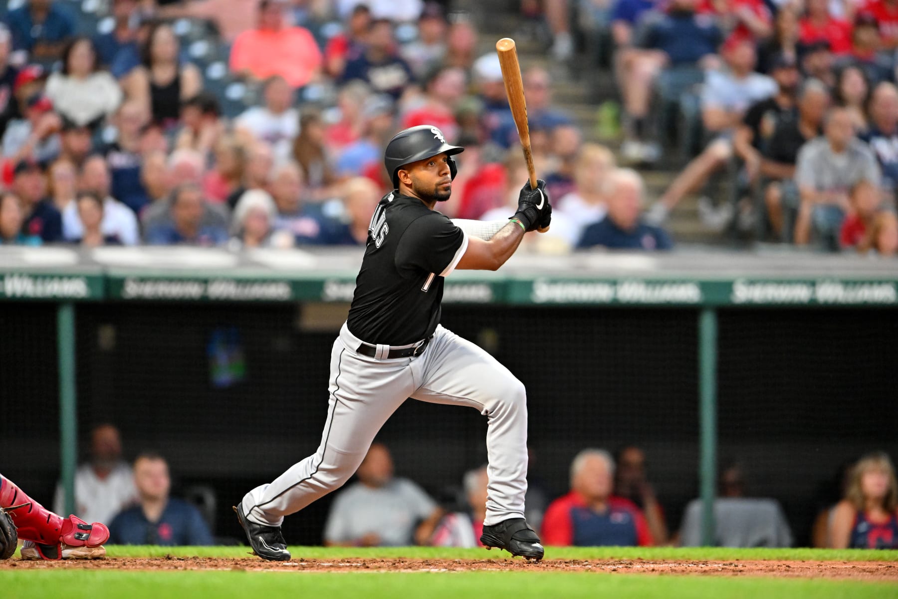 CLEVELAND, OHIO - AUGUST 19: Elvis Andrus #1 of the Chicago White Sox runs out a fly ball to end the top of the fourth inning against the Cleveland Guardians at Progressive Field on August 19, 2022 in Cleveland, Ohio. (Photo by Jason Miller/Getty Images)