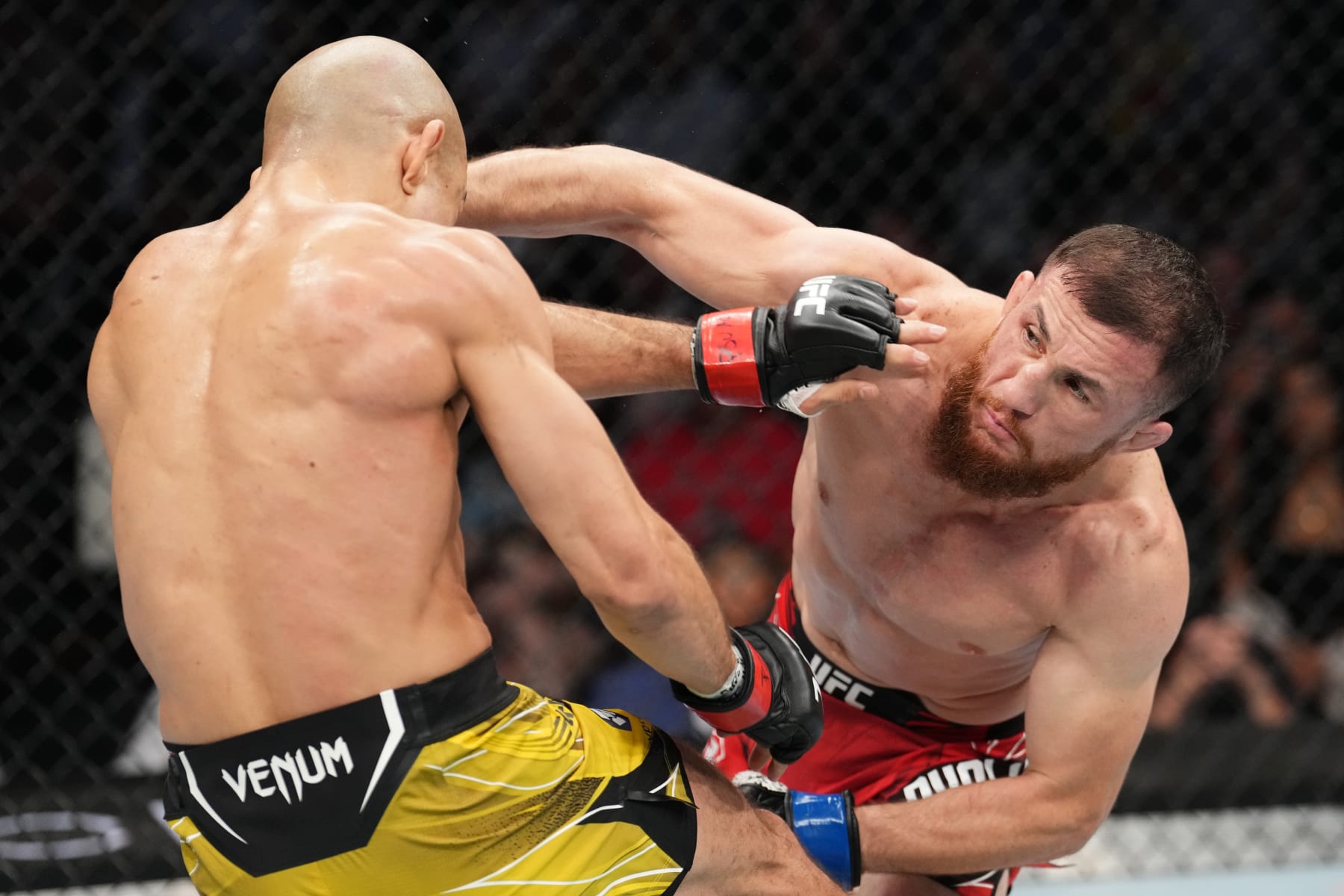 SALT LAKE CITY, UTAH - AUGUST 20: (R-L) Merab Dvalishvili of Georgia punches Jose Aldo of Brazil in a bantamweight fight during the UFC 278 event at Vivint Arena on August 20, 2022 in Salt Lake City, Utah. (Photo by Josh Hedges/Zuffa LLC)