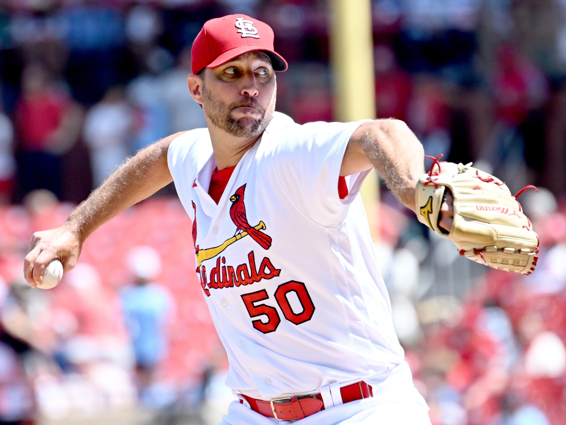 ST. LOUIS, MO - AUGUST 18: St. Louis Cardinals pitcher Adam Wainwright (50) pitches during a MLB game between the Colorado Rockies and the St. Louis Cardinals on August 18, 2022, at Busch Stadium, St. Louis, MO. Photo by Keith Gillett/Icon Sportswire via Getty Images),