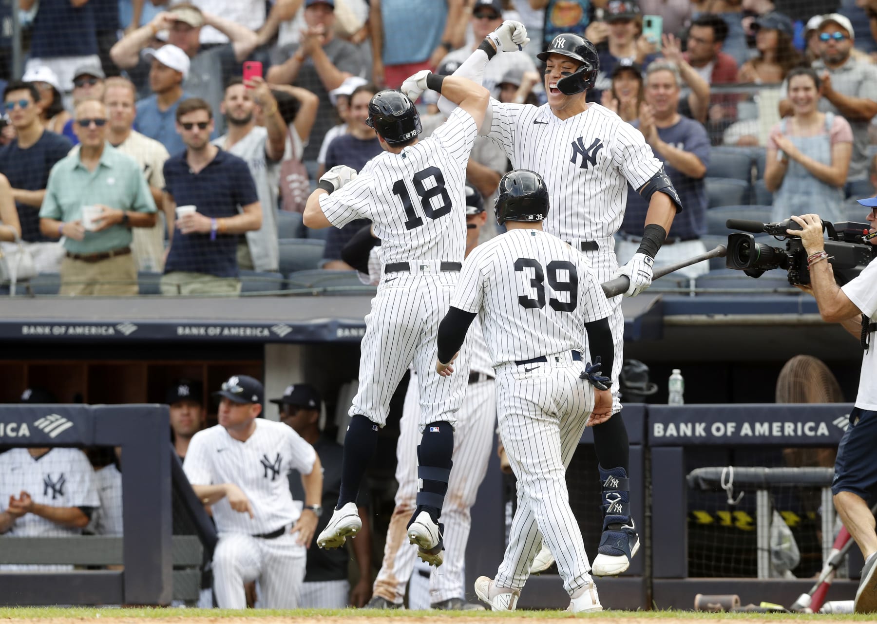 NEW YORK, NEW YORK - AUGUST 21:  Andrew Benintendi #18 of the New York Yankees celebrates his seventh inning two run home run against the Toronto Blue Jays with teammates Aaron Judge #99 and Jose Trevino #39 at Yankee Stadium on August 21, 2022 in New York City. (Photo by Jim McIsaac/Getty Images)