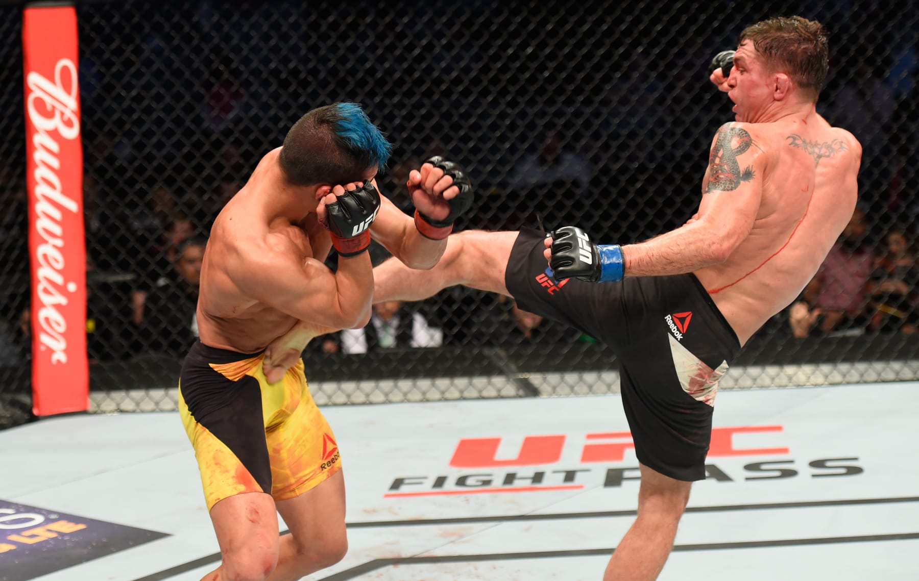 LAS VEGAS, NV - MARCH 04: (R-L) Darren Elkins kicks Mirsad Bektic of Bosnia in their featherweight bout during the UFC 209 event at T-Mobile Arena on March 4, 2017 in Las Vegas, Nevada.  (Photo by Josh Hedges/Zuffa LLC/Zuffa LLC via Getty Images)