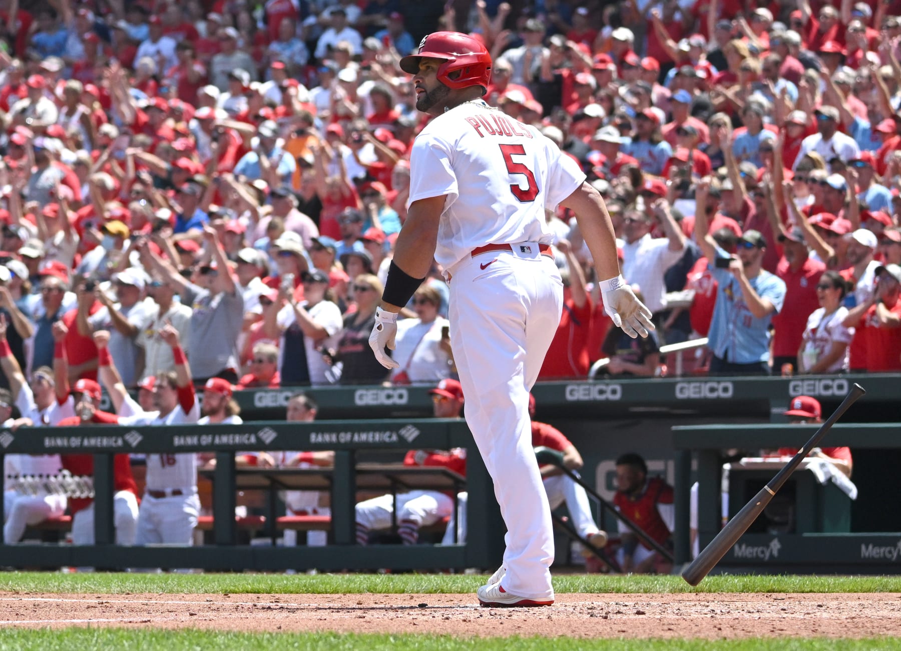 ST. LOUIS, MO - AUGUST 18: St. Louis Cardinals designated hitter Albert Pujols (5) watches his ball after hitting a grand slam in the third inning during a MLB game between the Colorado Rockies and the St. Louis Cardinals on August 18, 2022, at Busch Stadium, St. Louis, MO. Photo by Keith Gillett/Icon Sportswire via Getty Images),