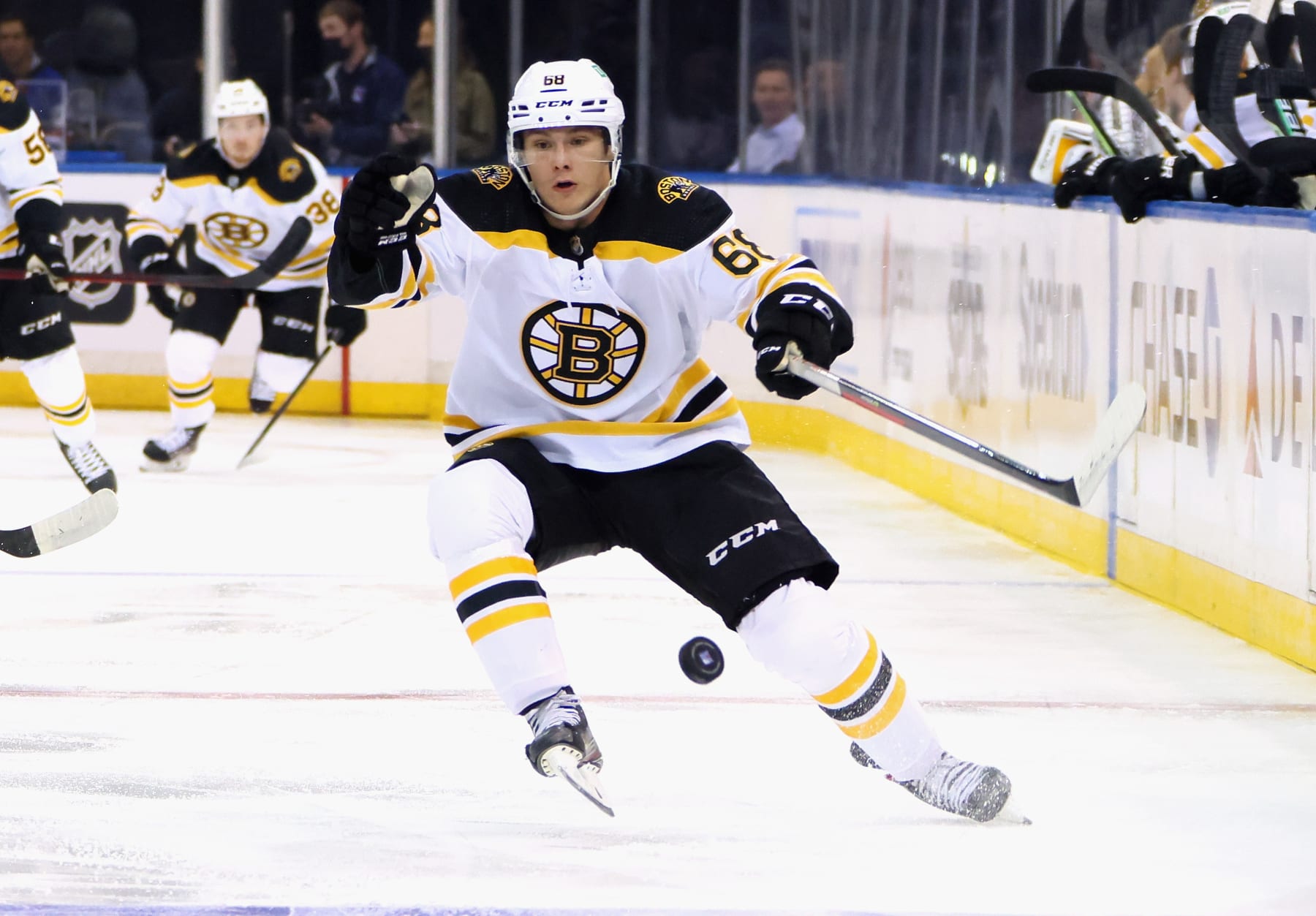 NEW YORK, NEW YORK - SEPTEMBER 28: Fabian Lysell #68 of the Boston Bruins attempts to control the puck during the first period against the New York Rangers in a preseason game at Madison Square Garden on September 28, 2021 in New York City. (Photo by Bruce Bennett/Getty Images)