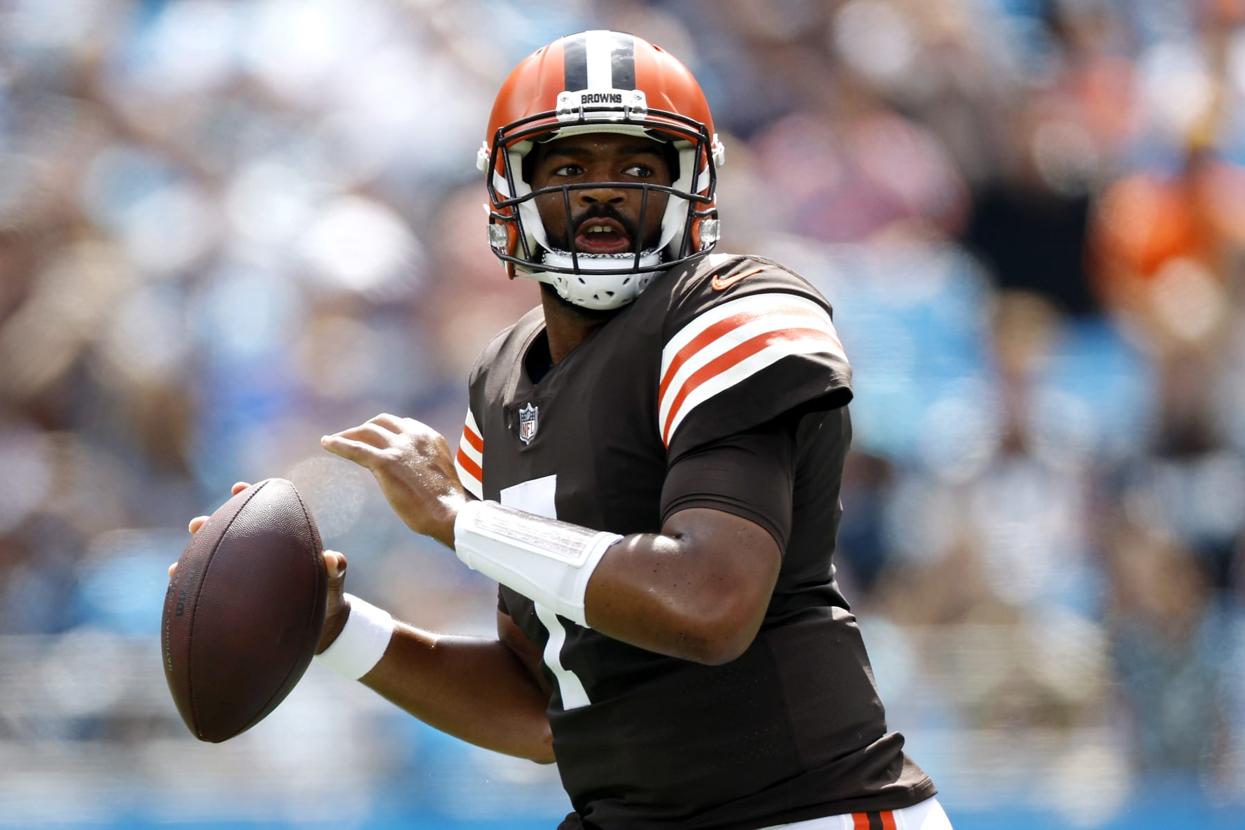 CHARLOTTE, NORTH CAROLINA - SEPTEMBER 11: Jacoby Brissett #7 of the Cleveland Browns looks to pass during the first half against the Carolina Panthers at Bank of America Stadium on September 11, 2022 in Charlotte, North Carolina. (Photo by Jared C. Tilton/Getty Images)